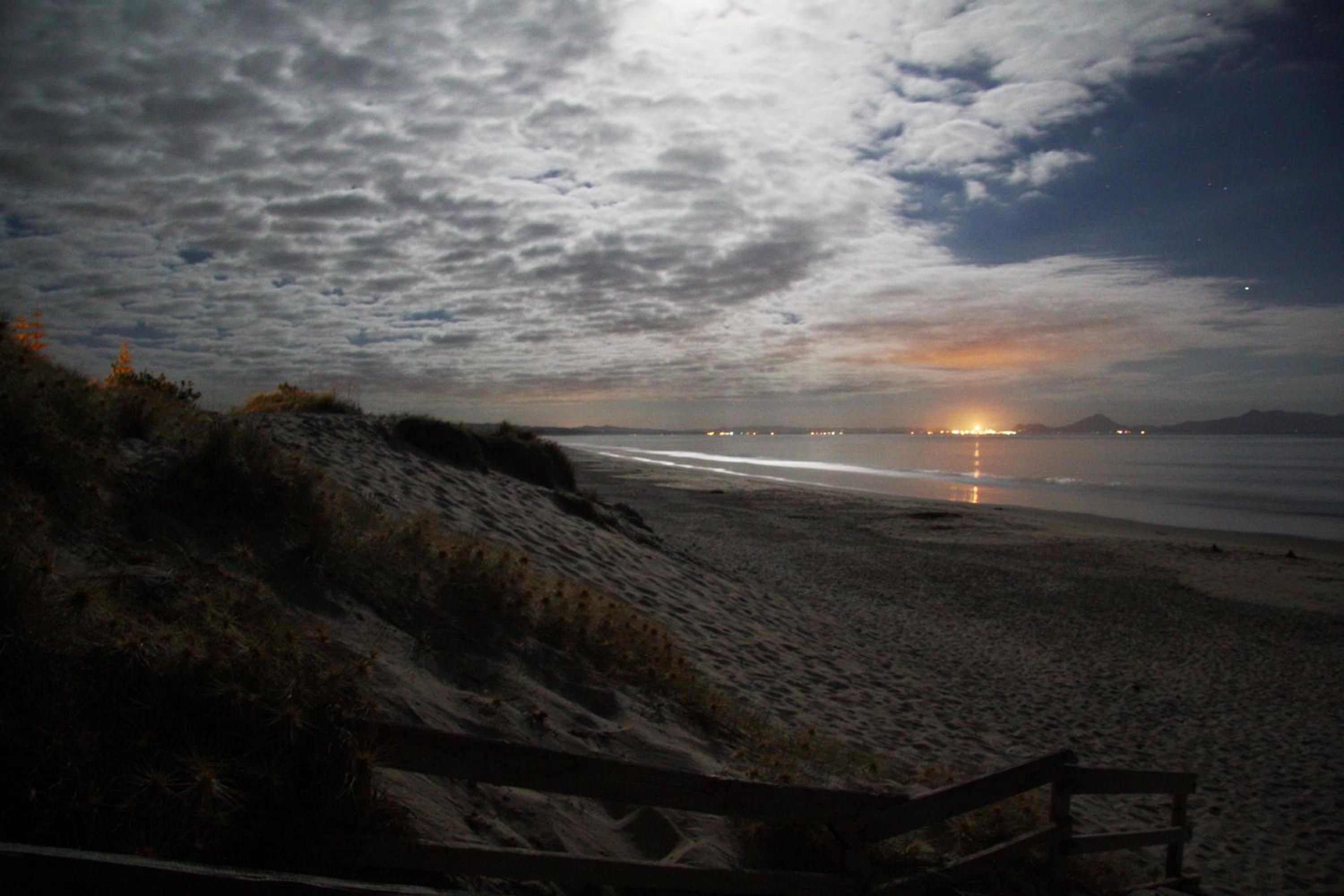 Camp Waipu Cove