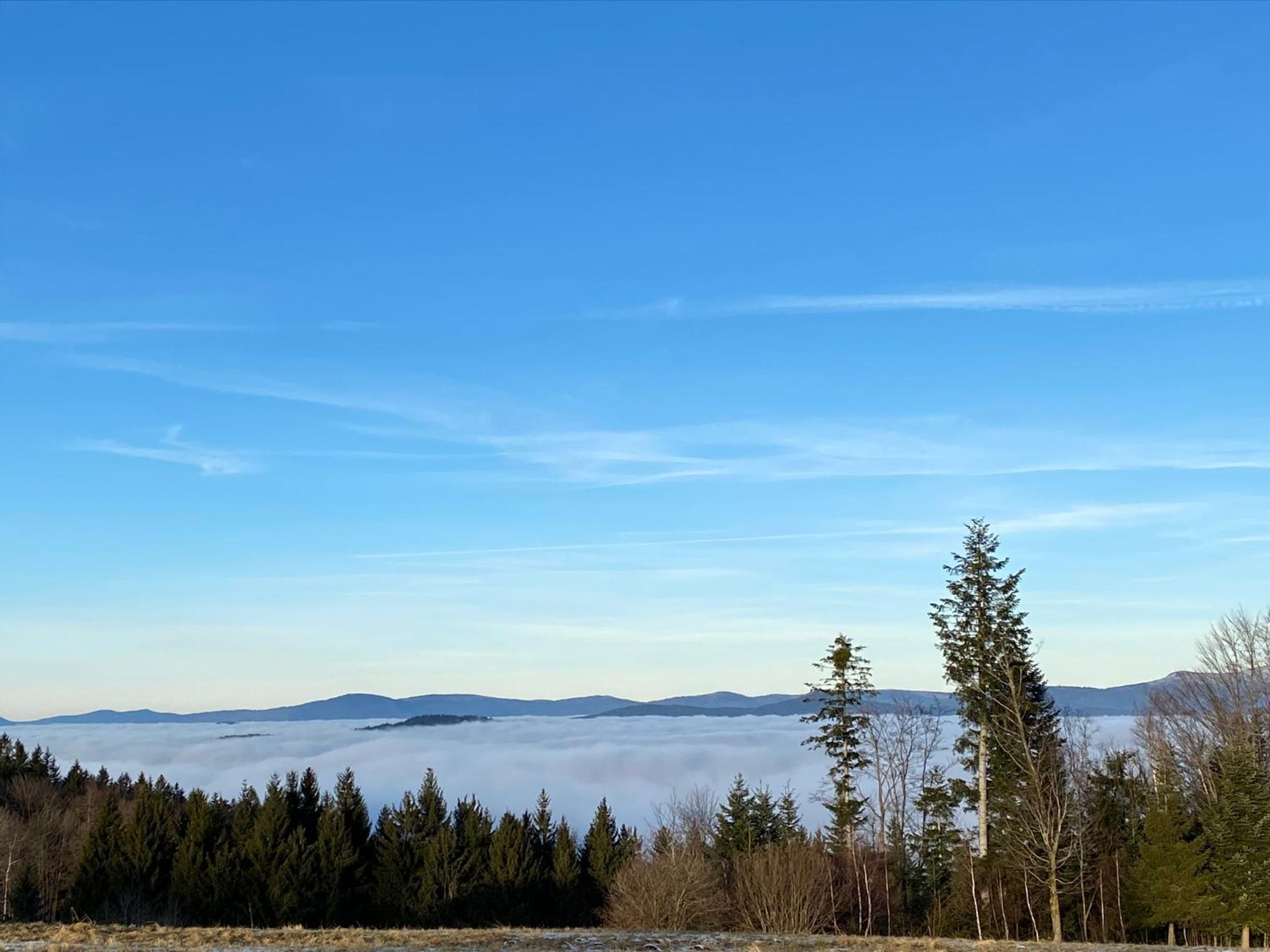 MITTEN im BAYERISCHEN WALD-95m² Wohnung + *NETFLIX* Direkt am Skilift! view 4