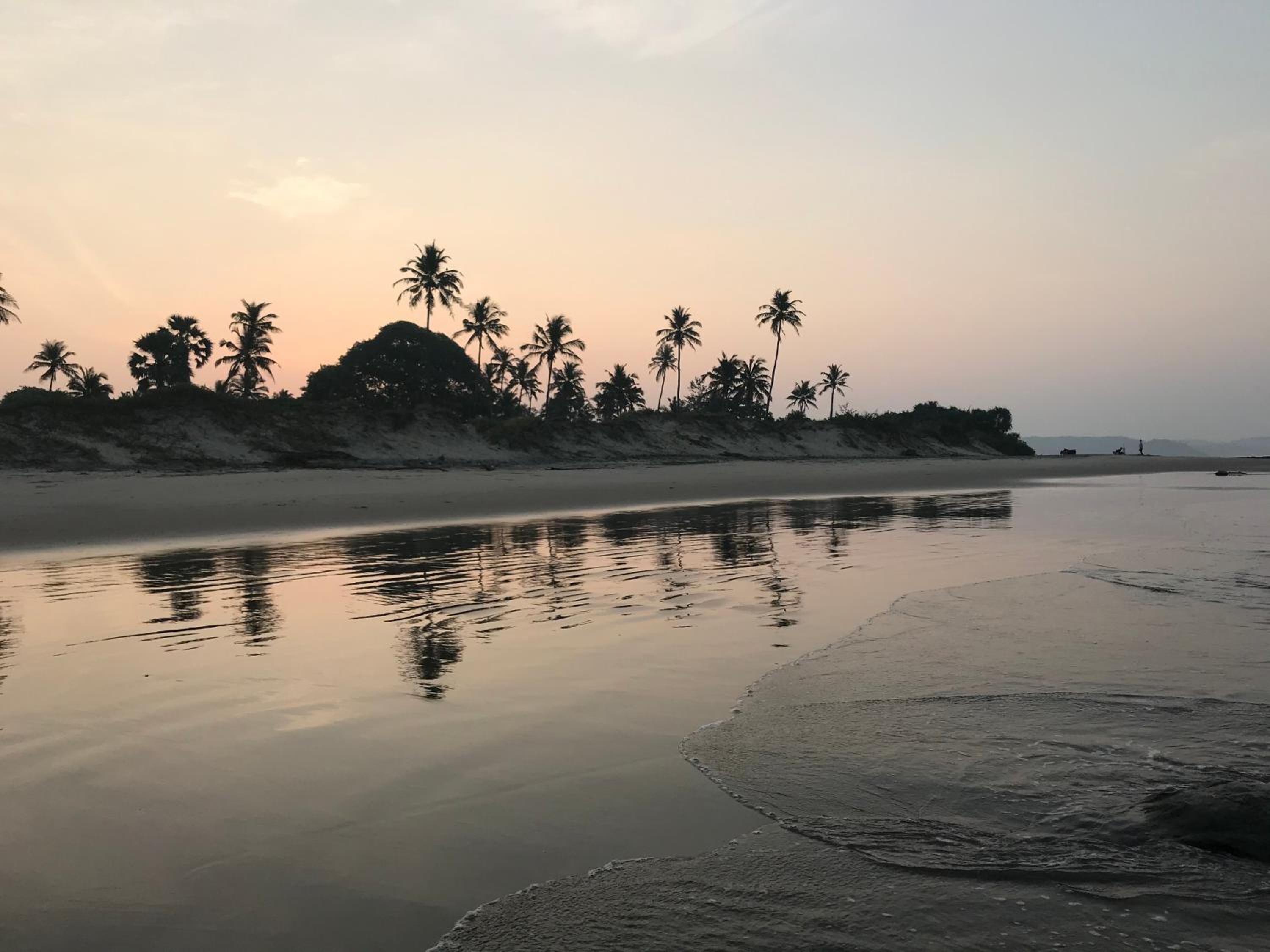 BaywoodGoa -200 meters from Morjim Beach view 3