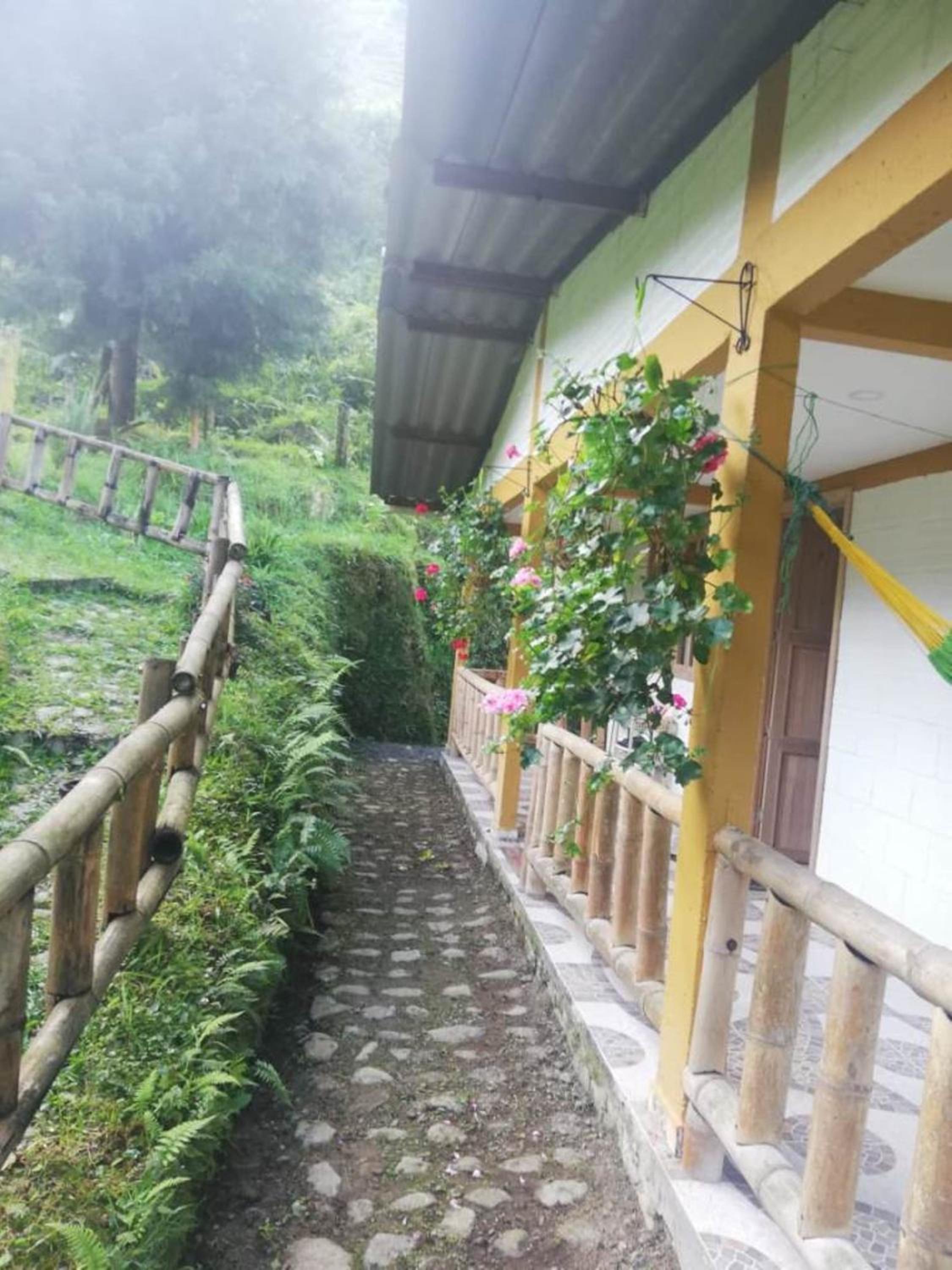 Eco-Cabaña Termales Santa Rosa
