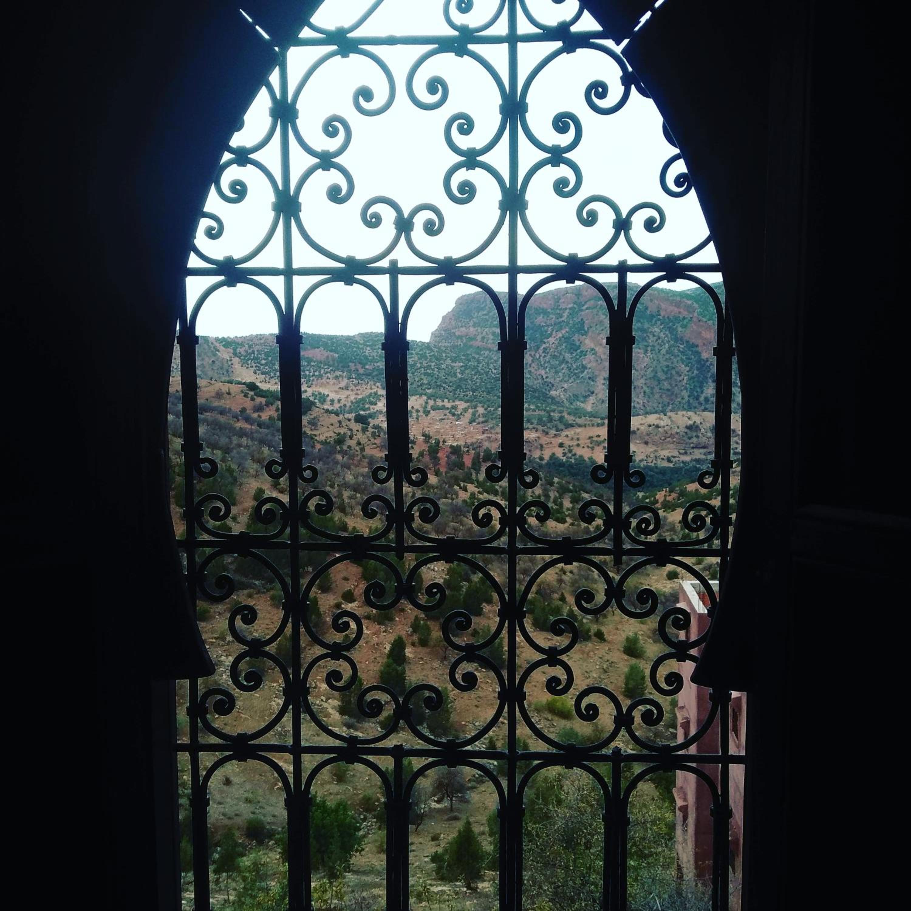 Photo 44