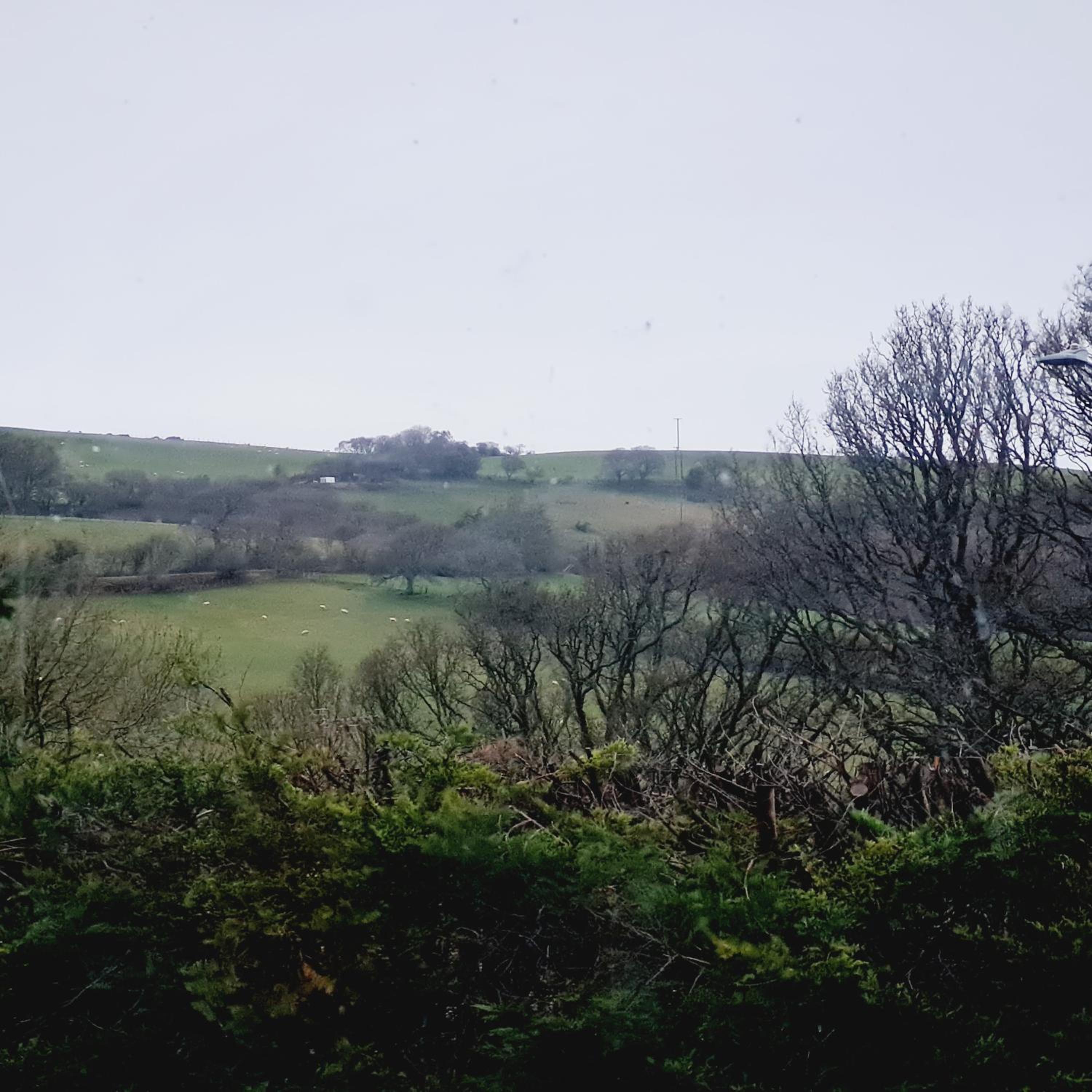 Photo 45