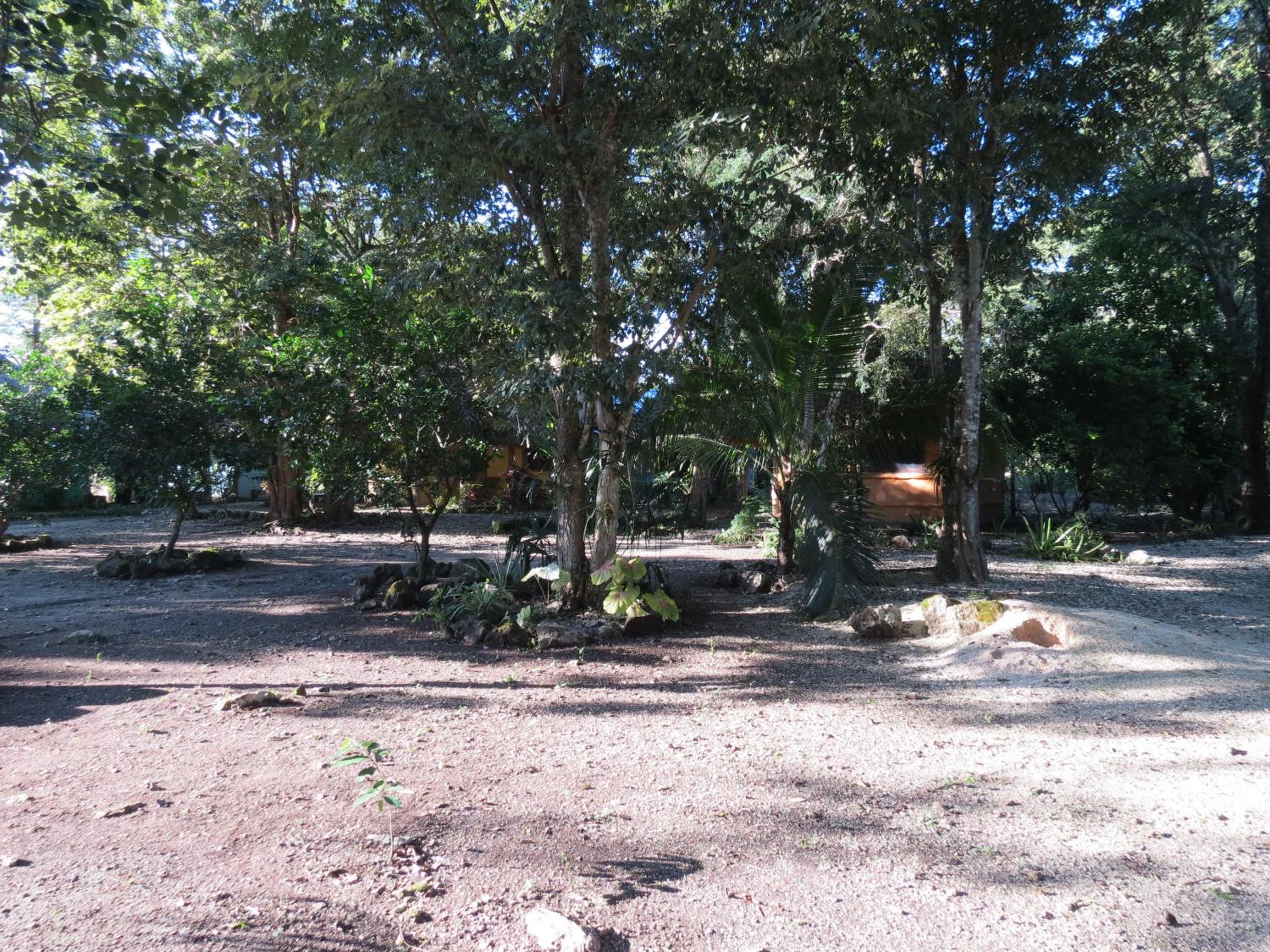 Photo 22