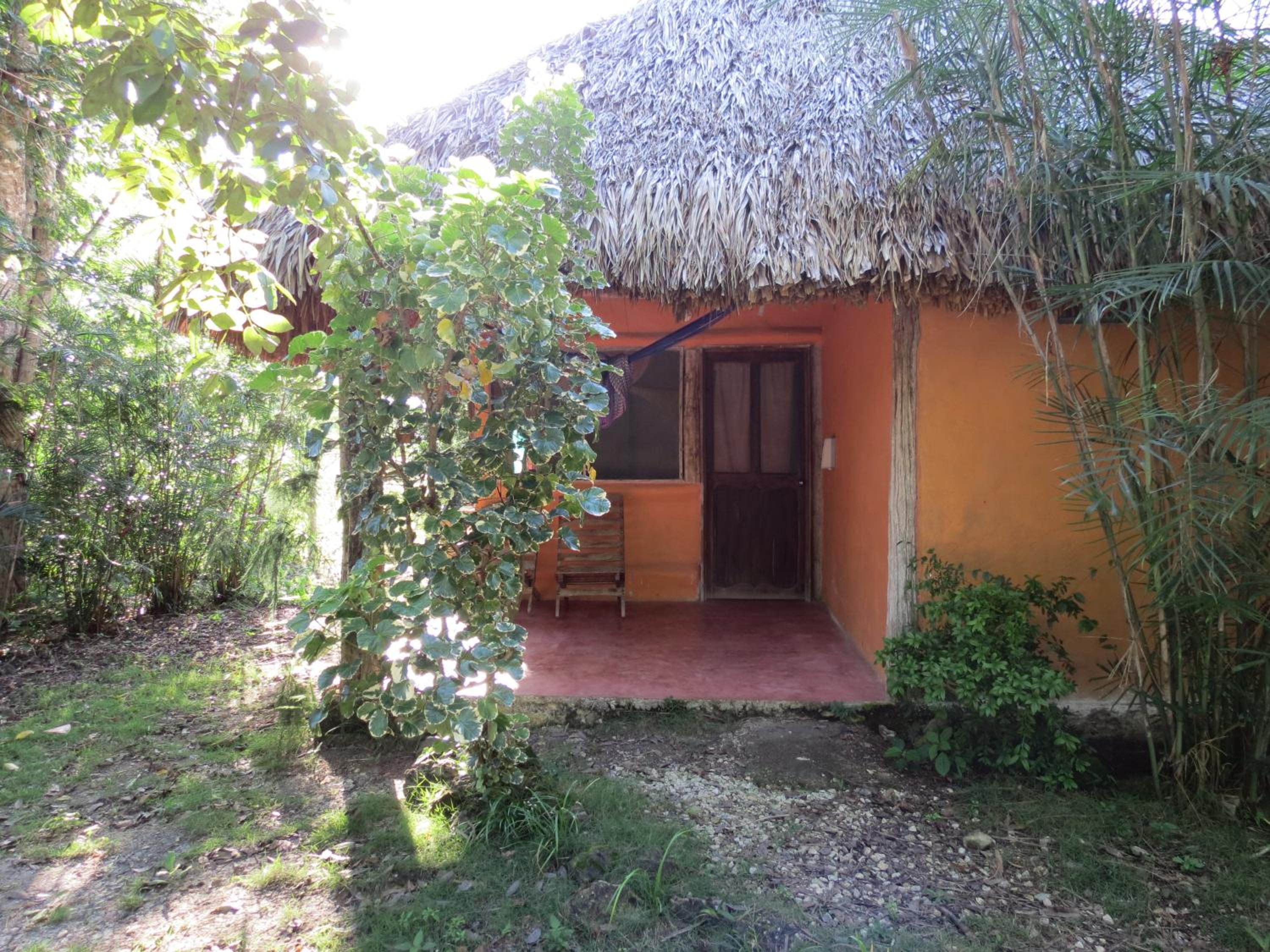 Photo 23