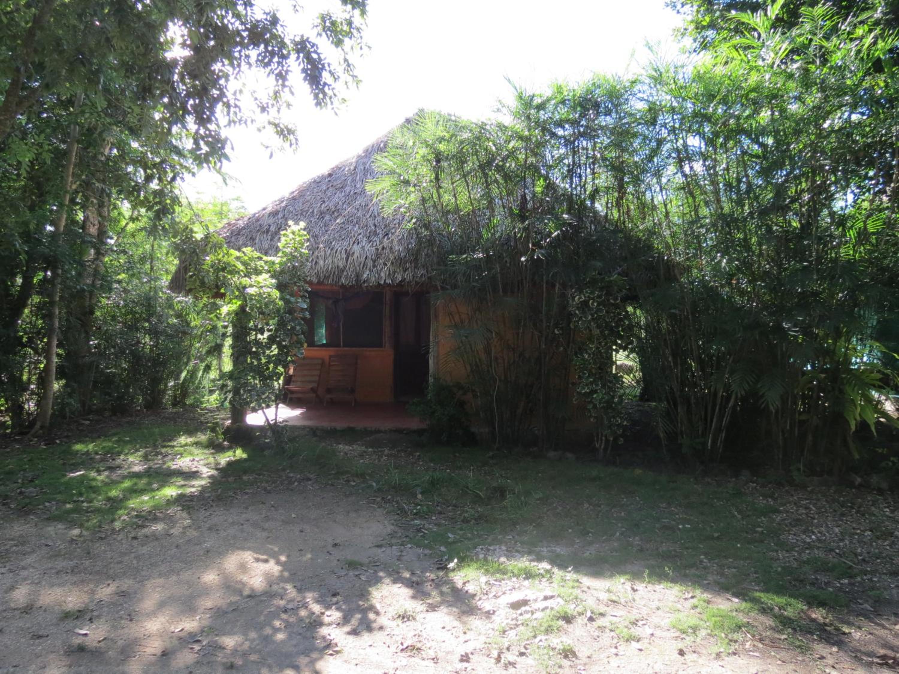 Photo 25
