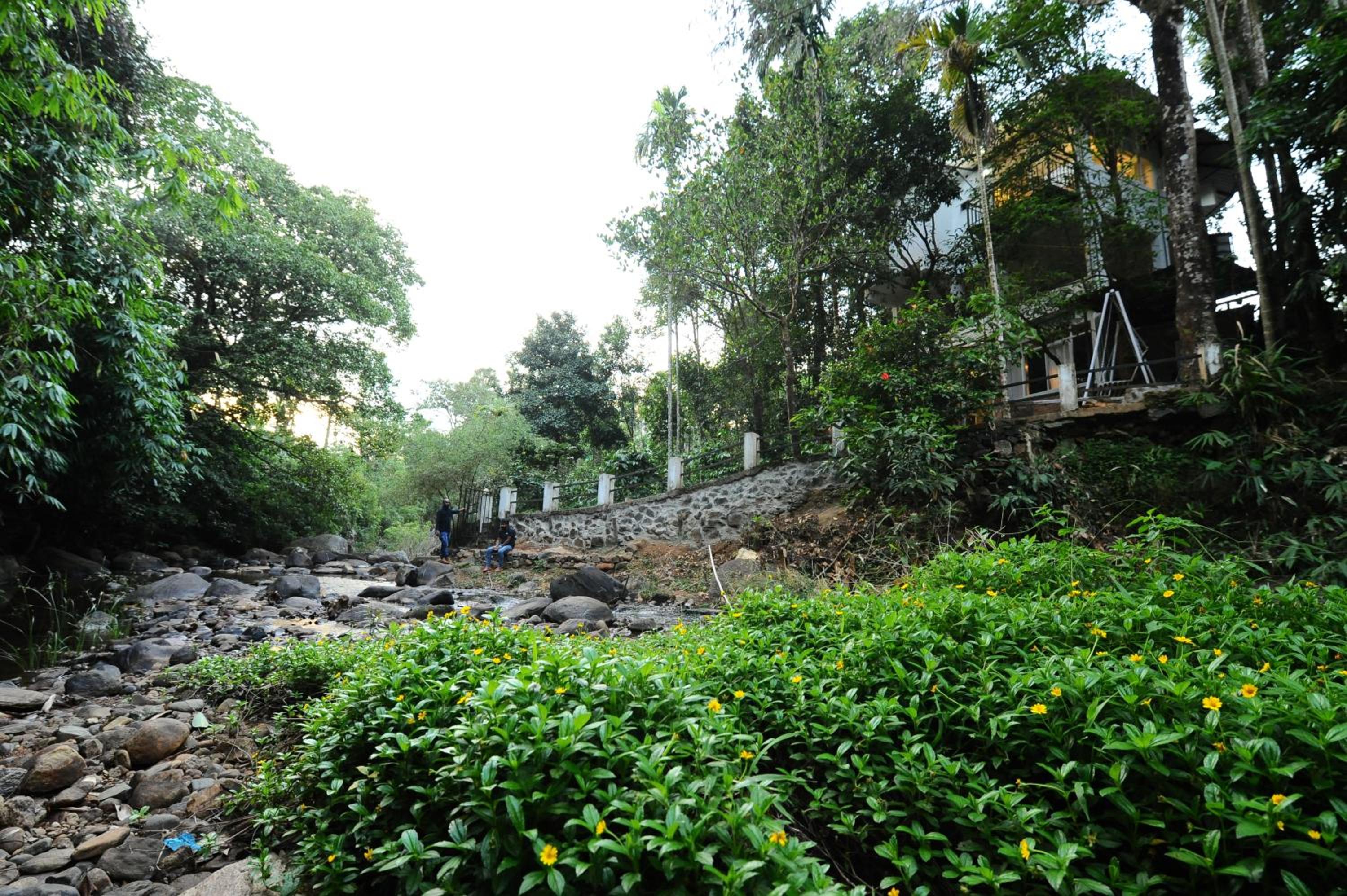 Photo 11