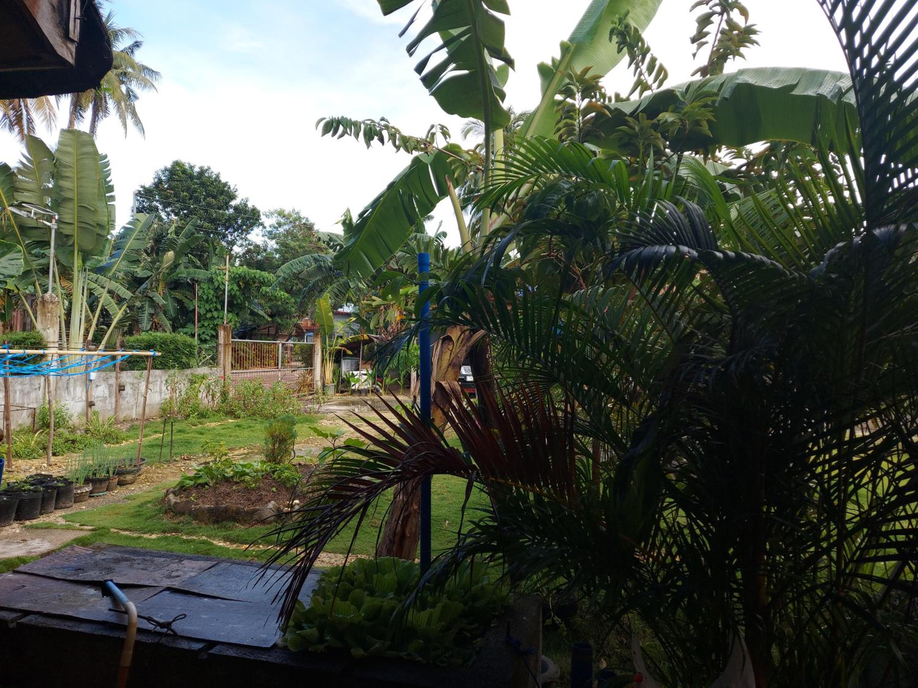 Gardenview Homestay Siargao — photo 228