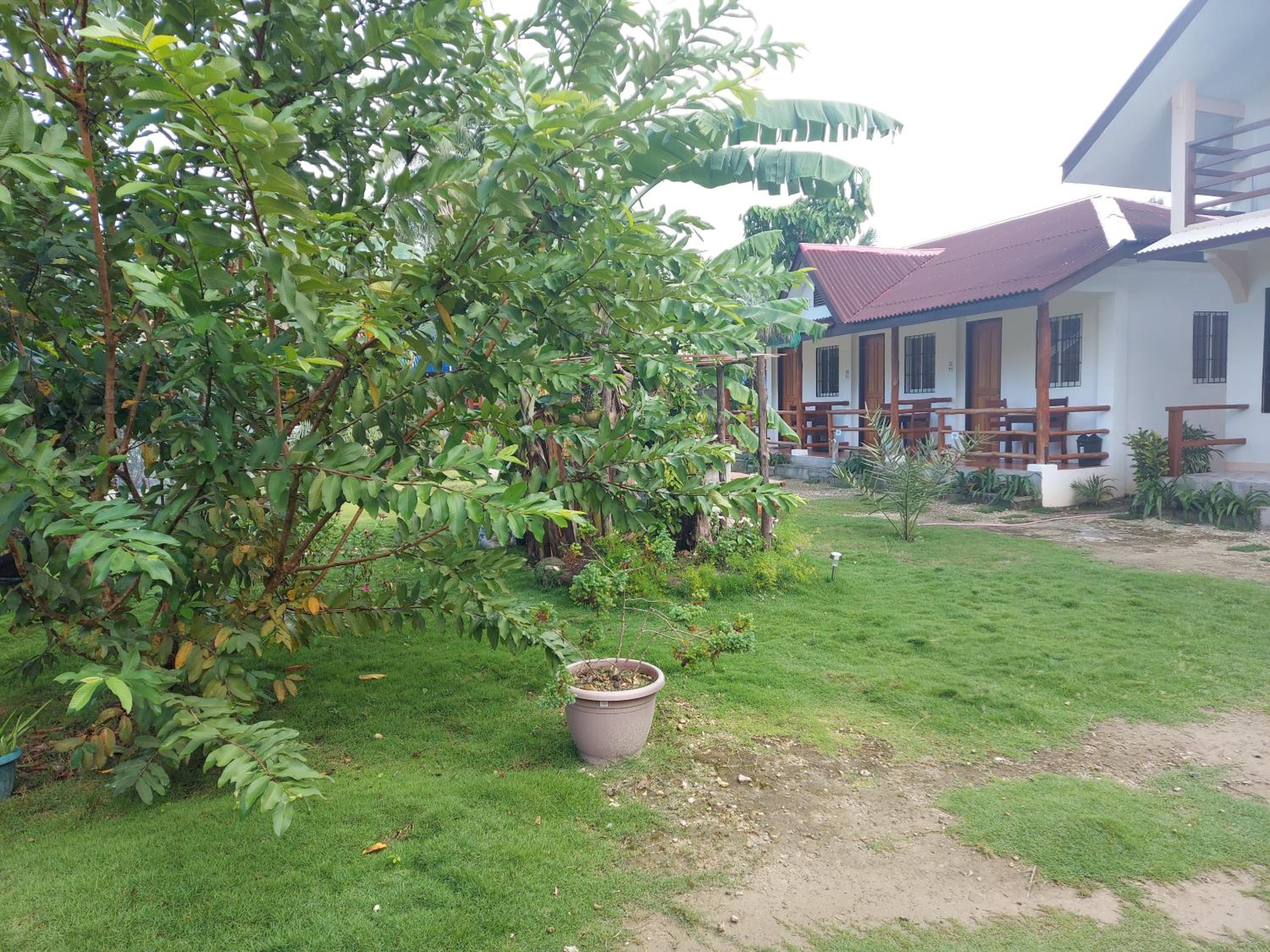 Gardenview Homestay Siargao — photo 53