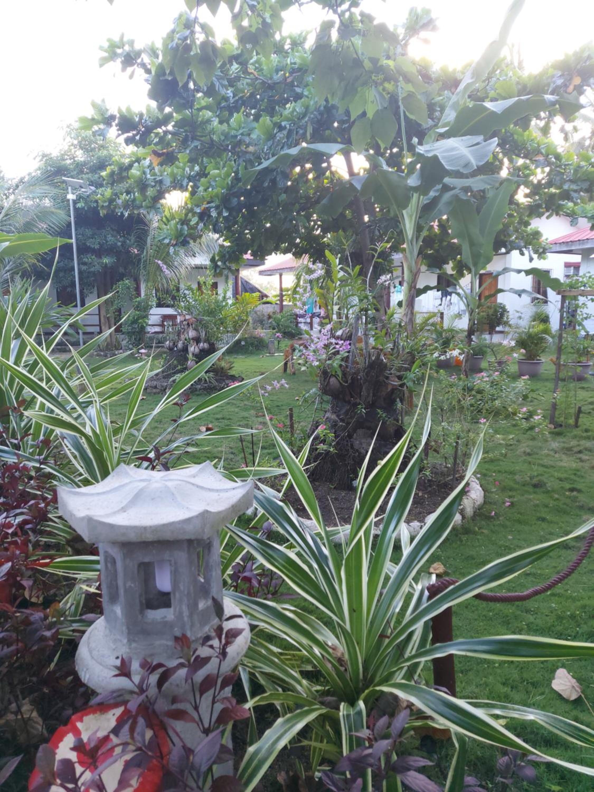 Gardenview Homestay Siargao — photo 189