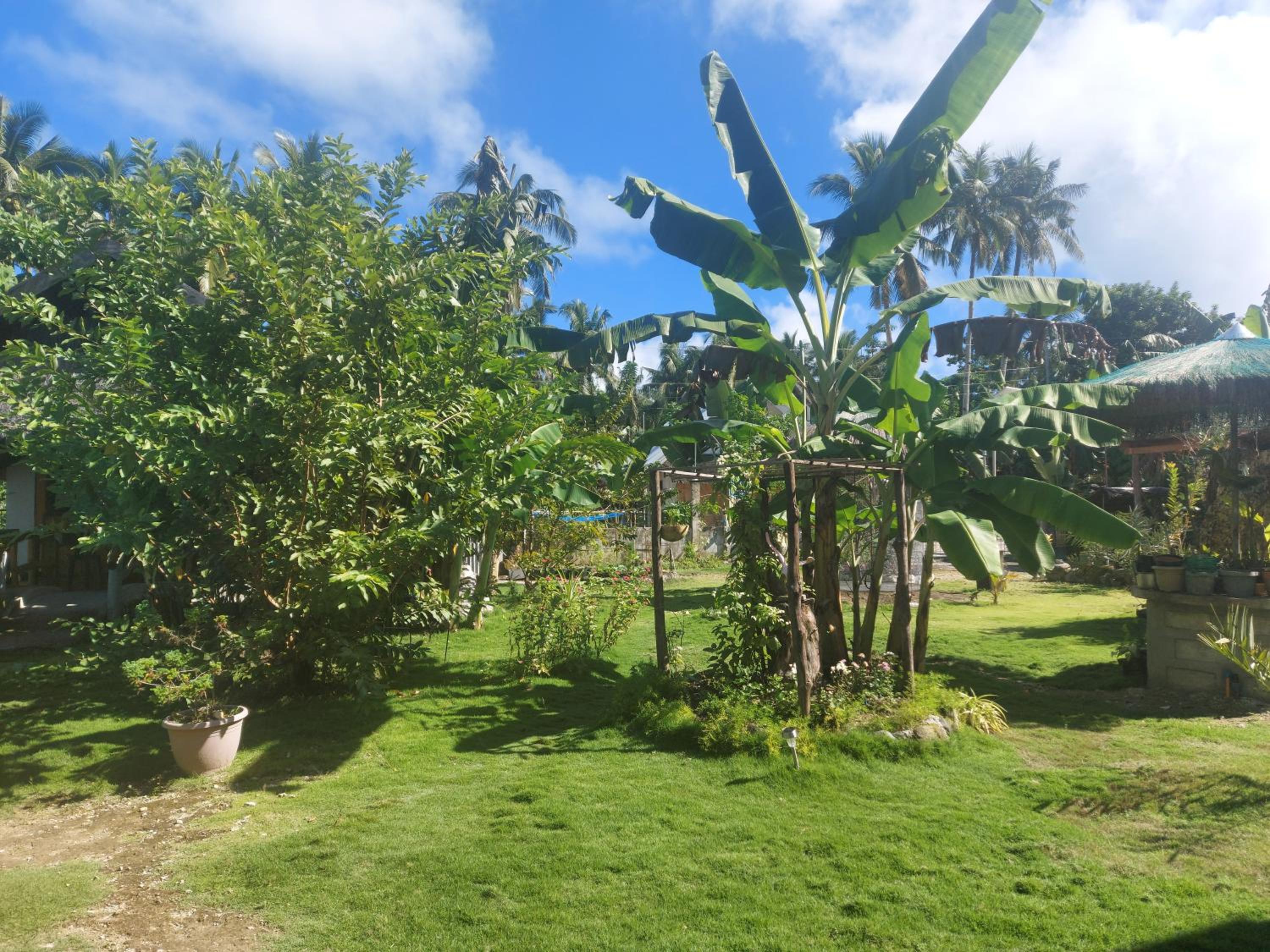 Gardenview Homestay Siargao — photo 226