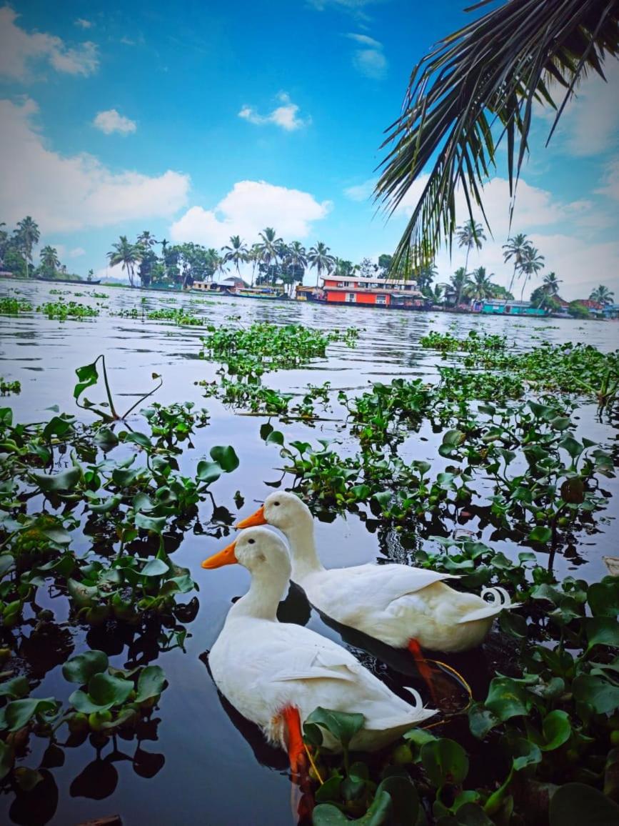 Photo 46
