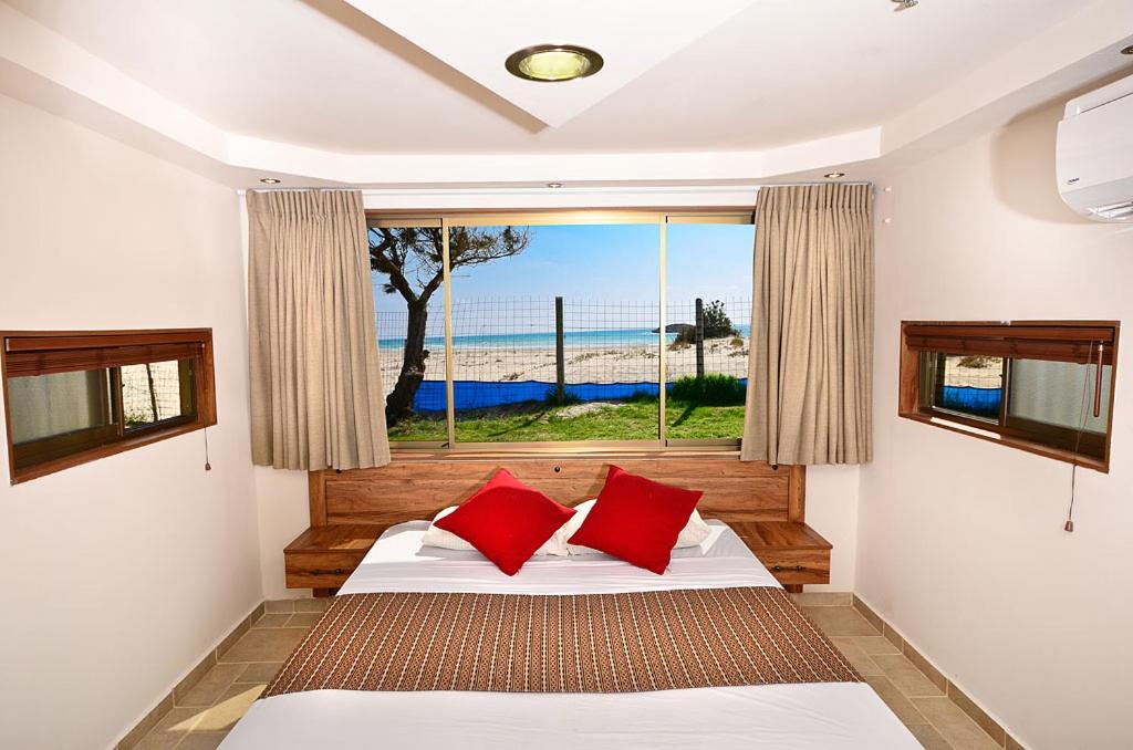Dor on the beach view 3
