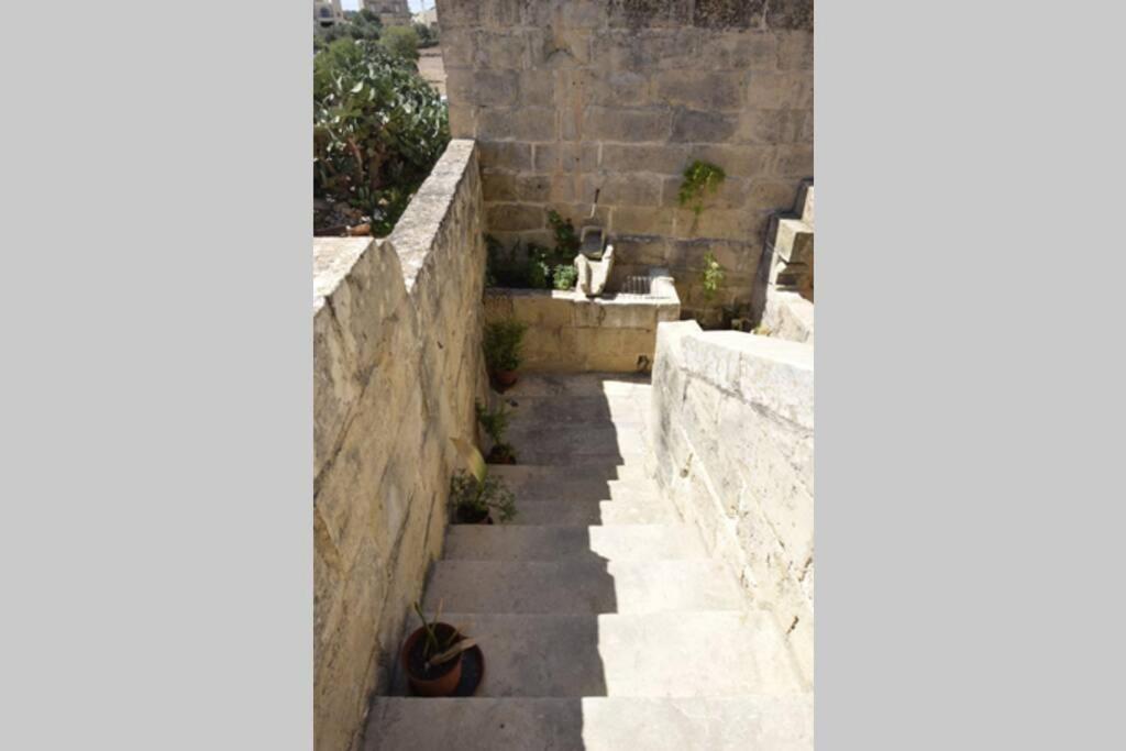 Photo 49