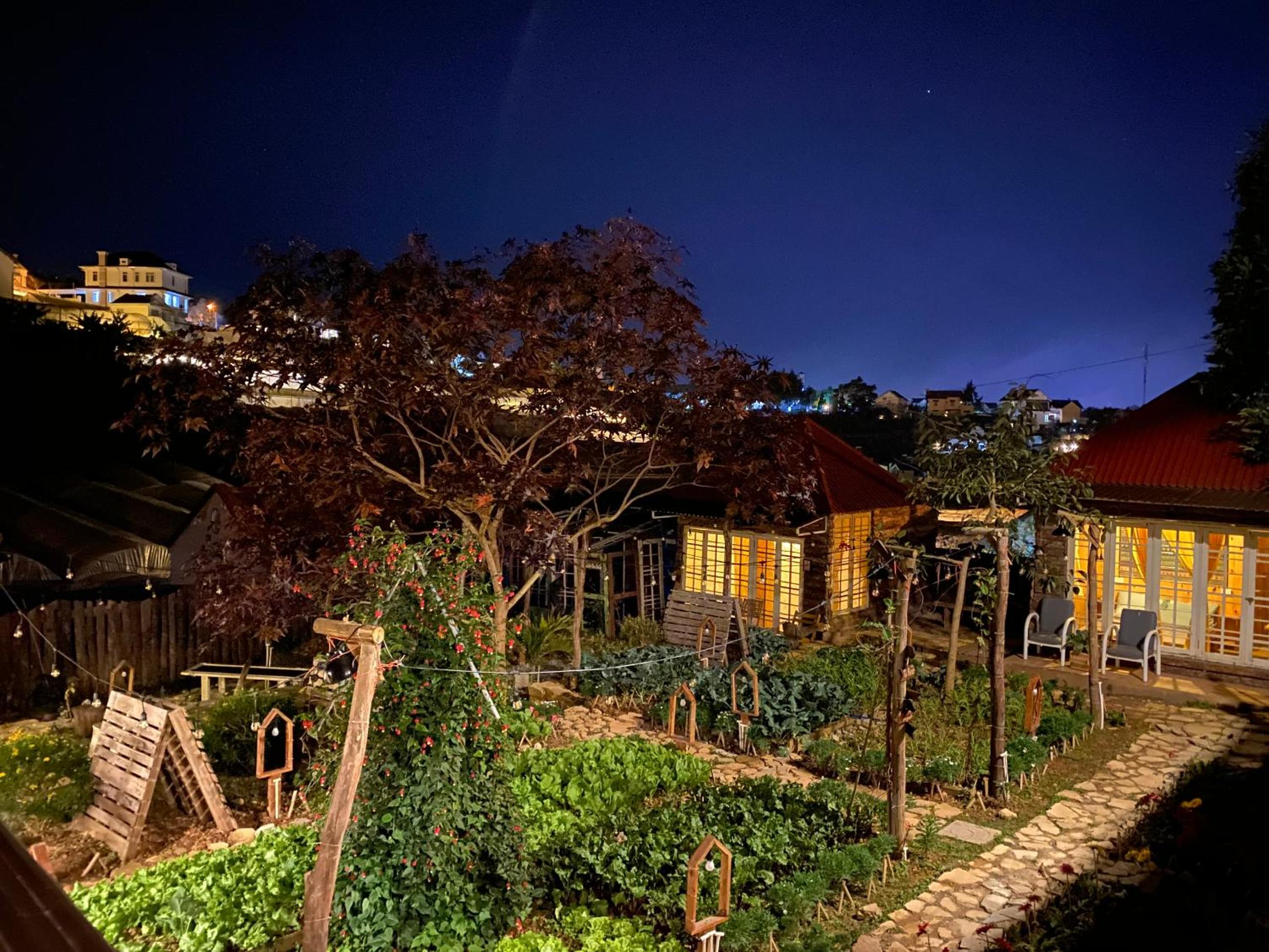The Burrow Dalat view 2