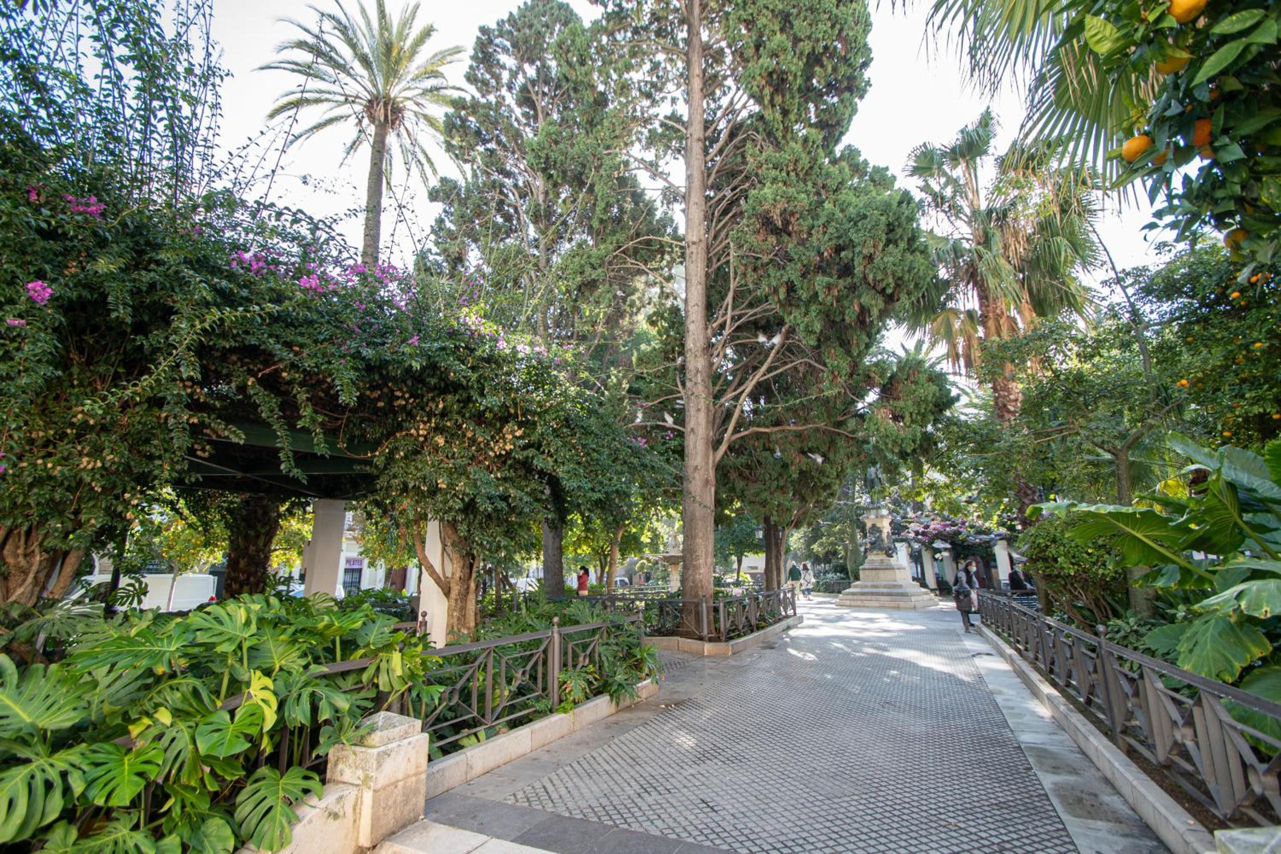 Photo 43