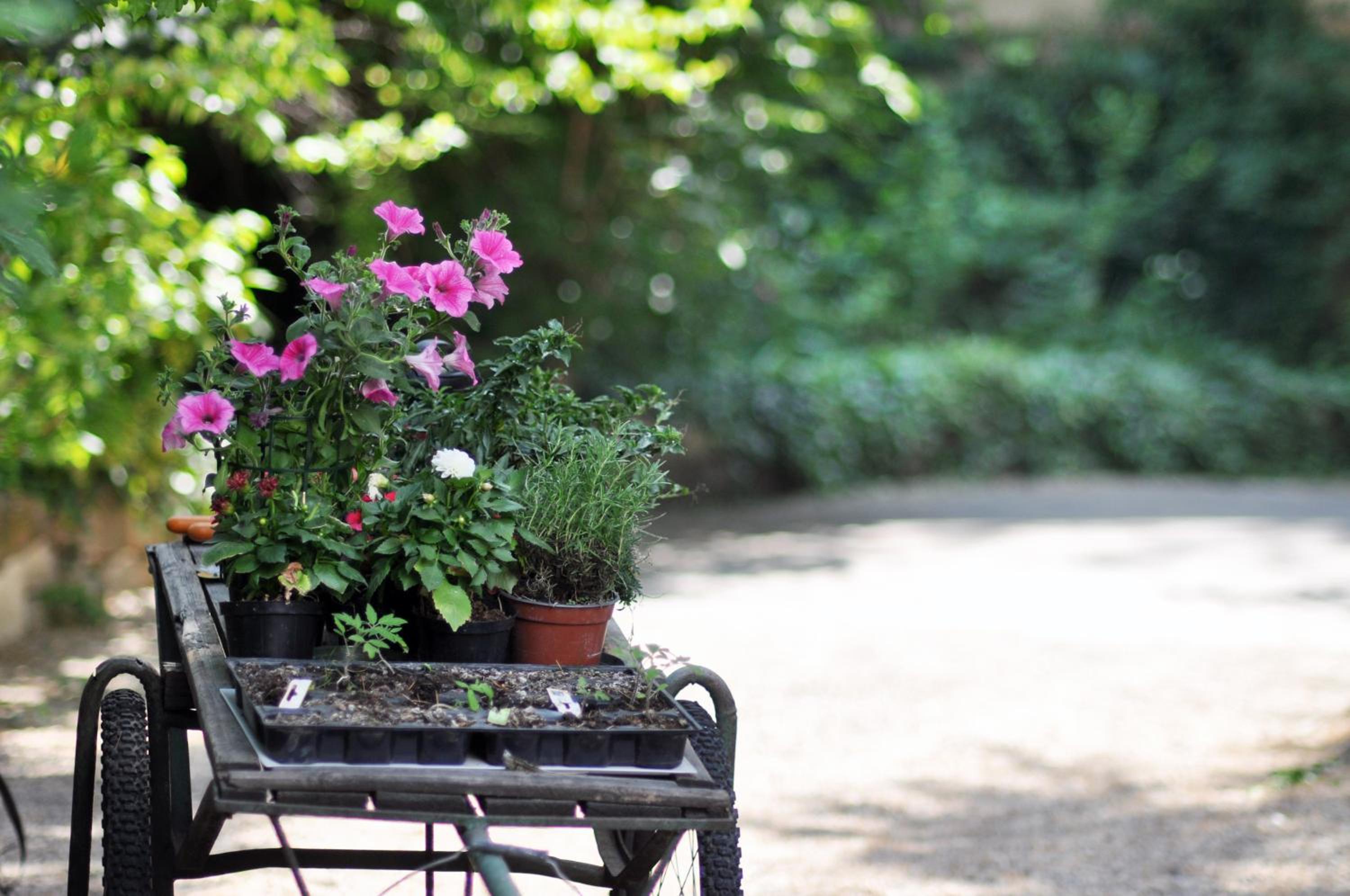 Villa Fausta B&B