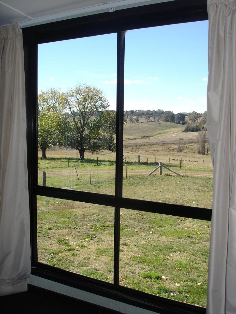 Black Sheep Inn