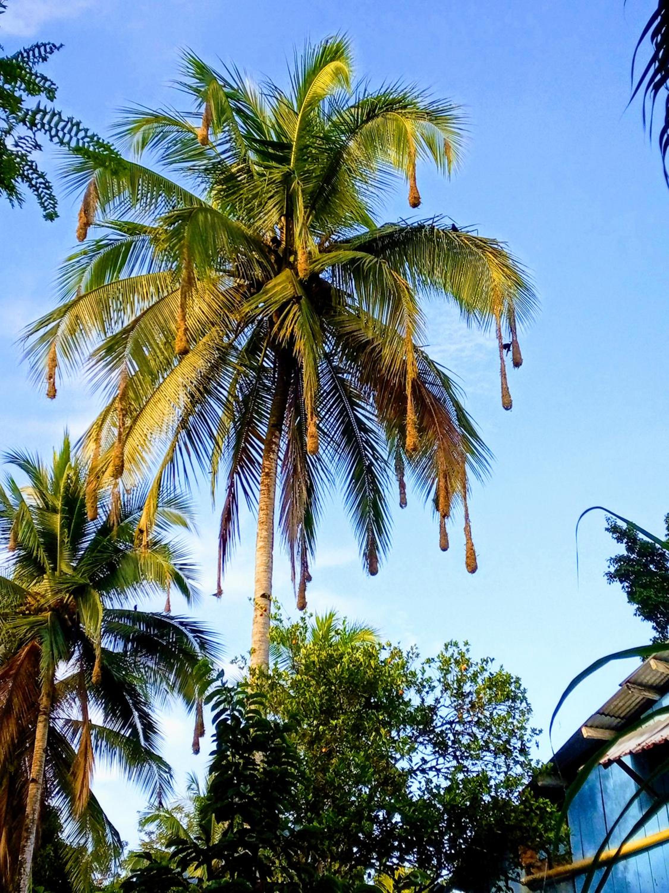 Cabaña Villa Sofi
