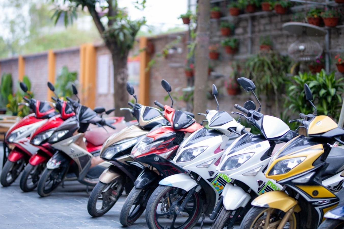 Lys Homestay