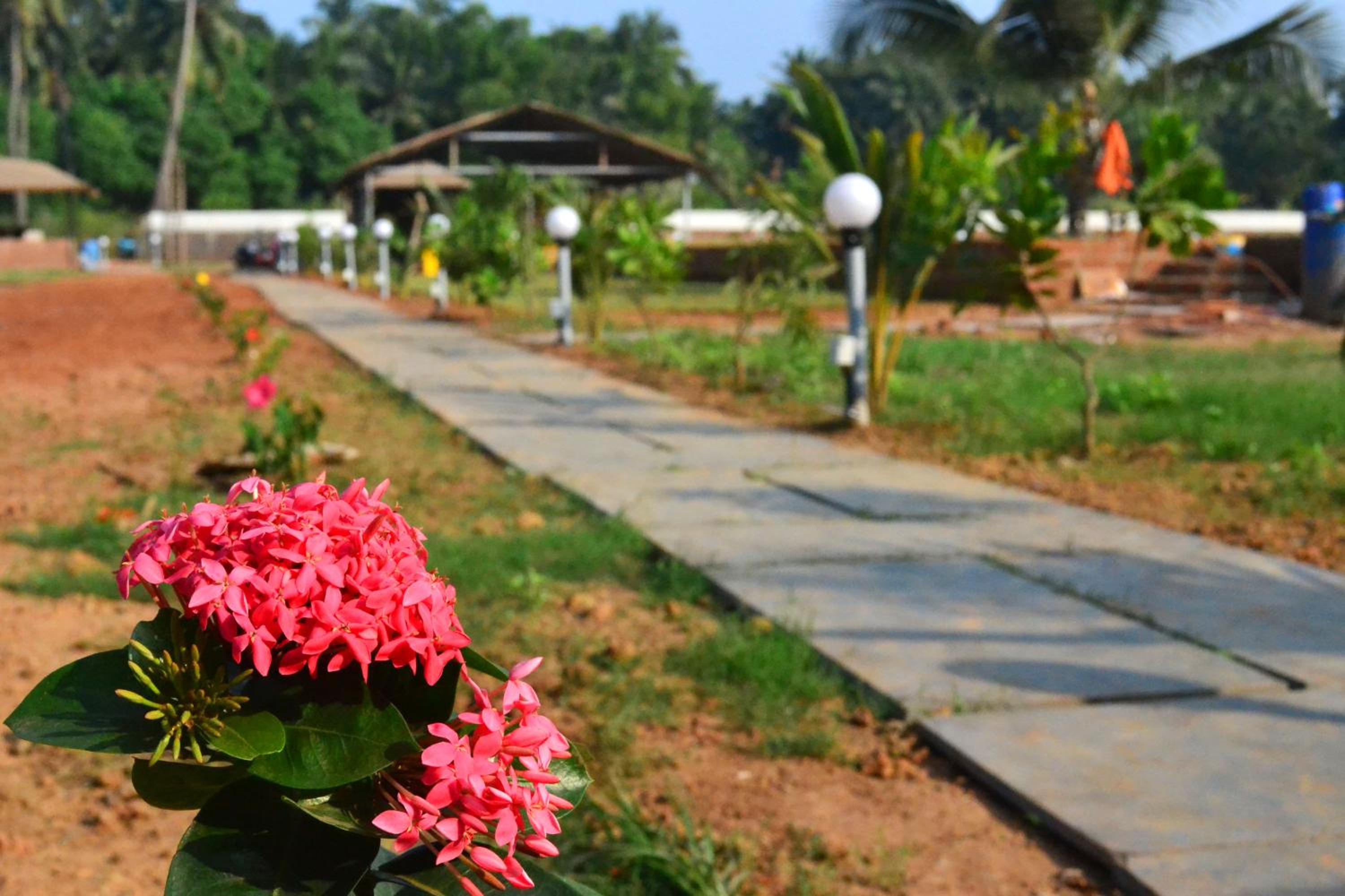 Radhika Eco Resort(Odonata) view 3