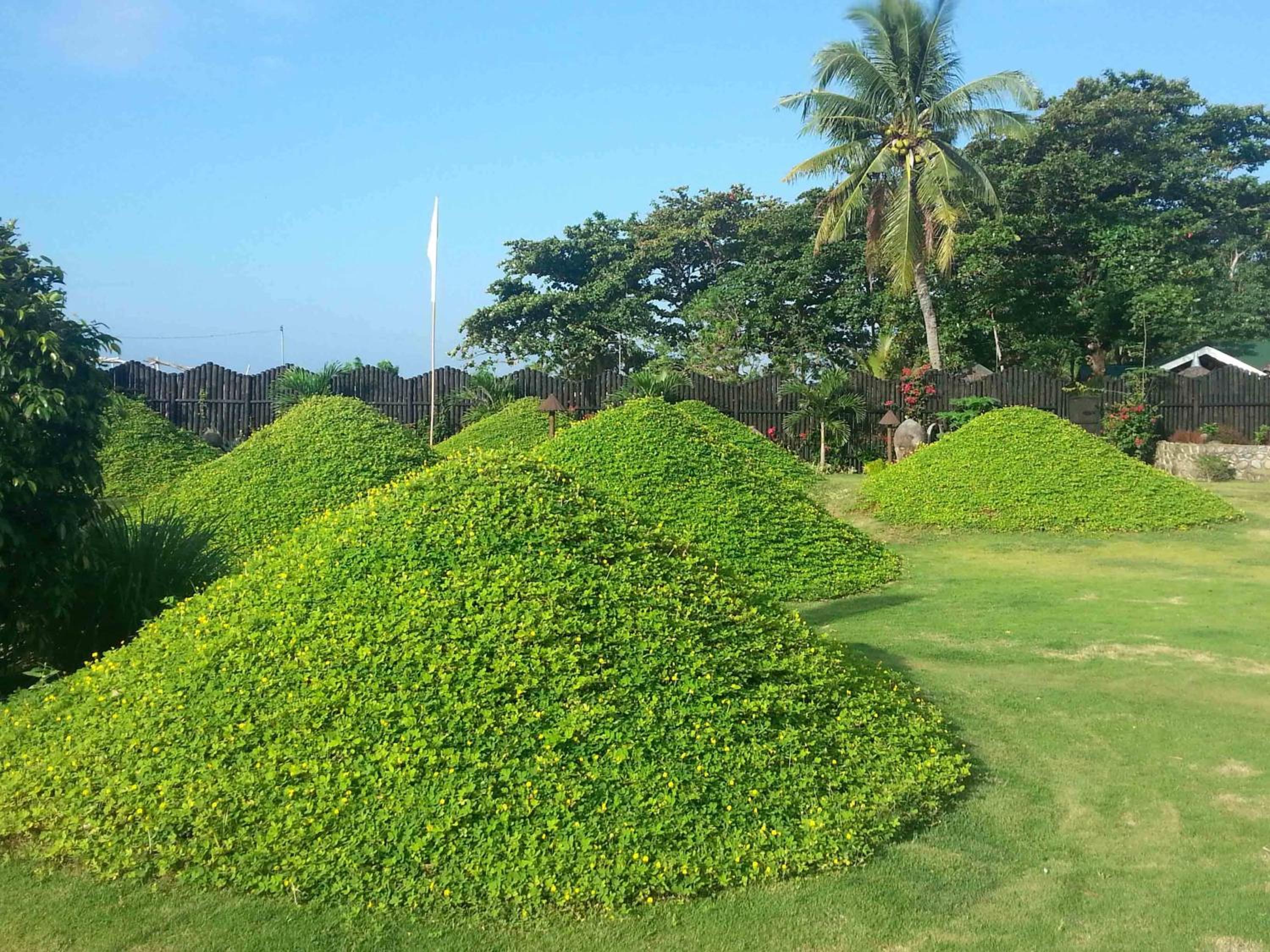 White Chocolate Hills Resort