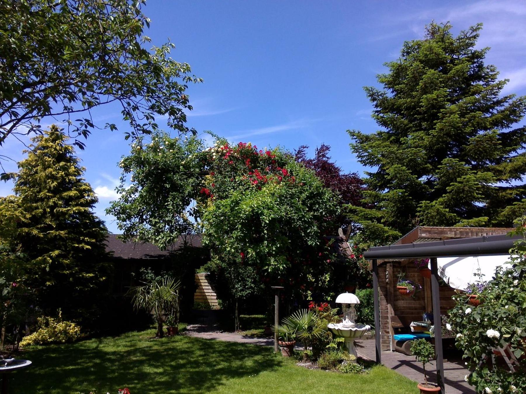 Photo 19