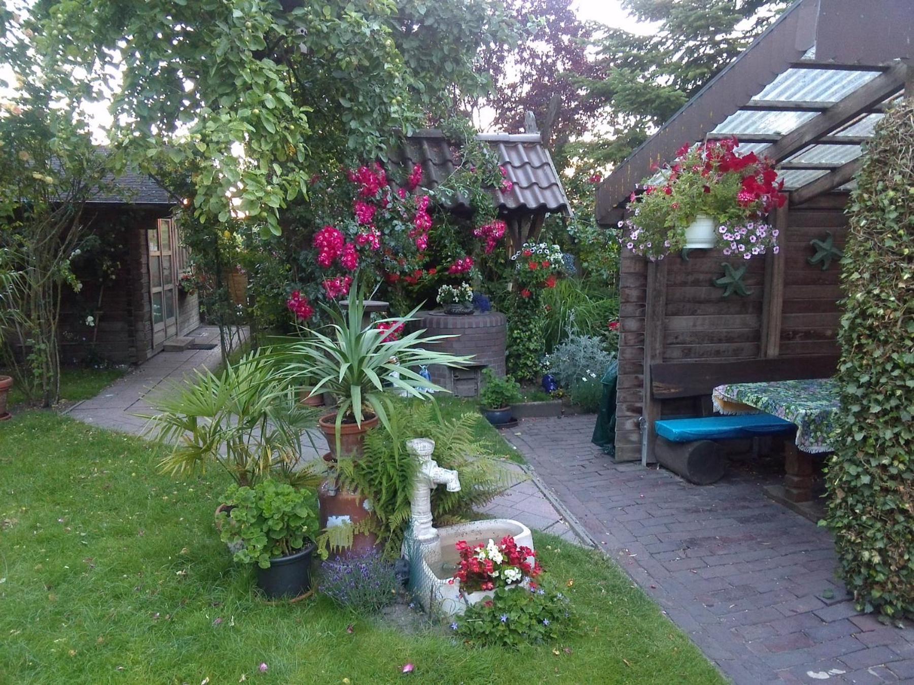 Photo 26