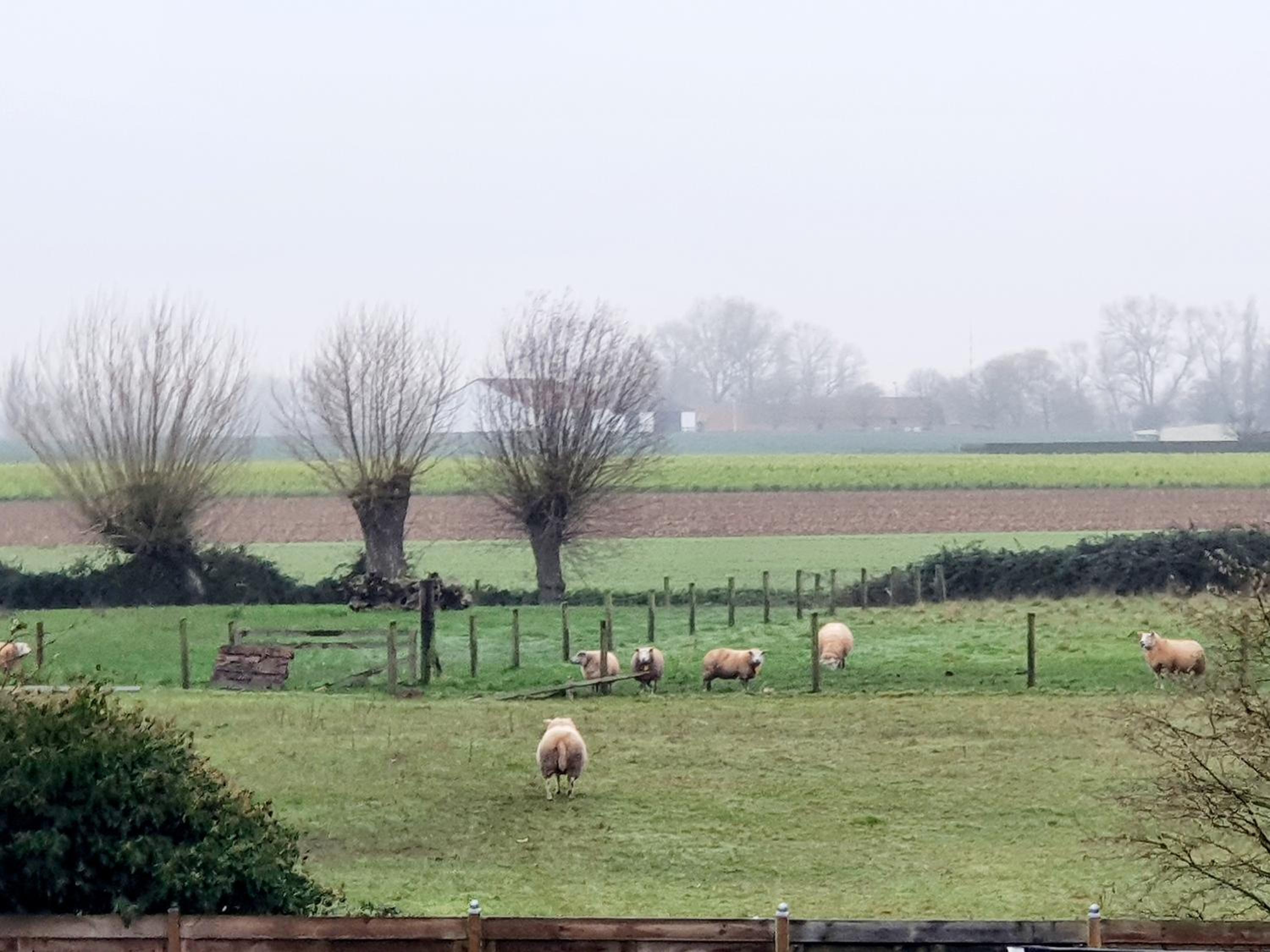 Luppolo vakantiehuis Westhoek