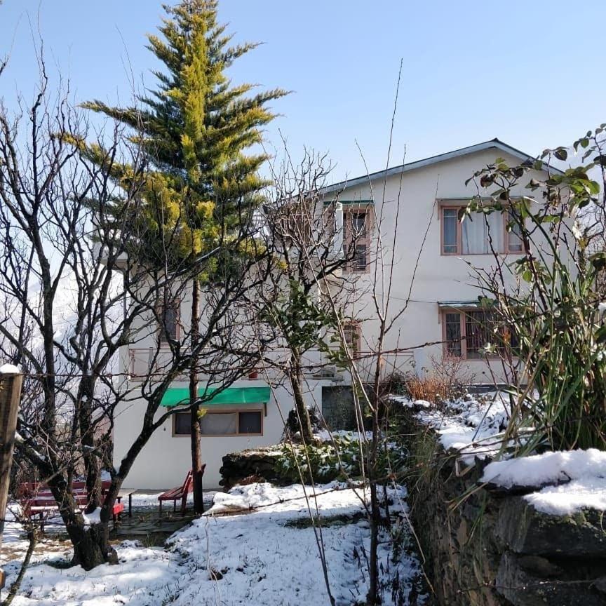 Photo 8