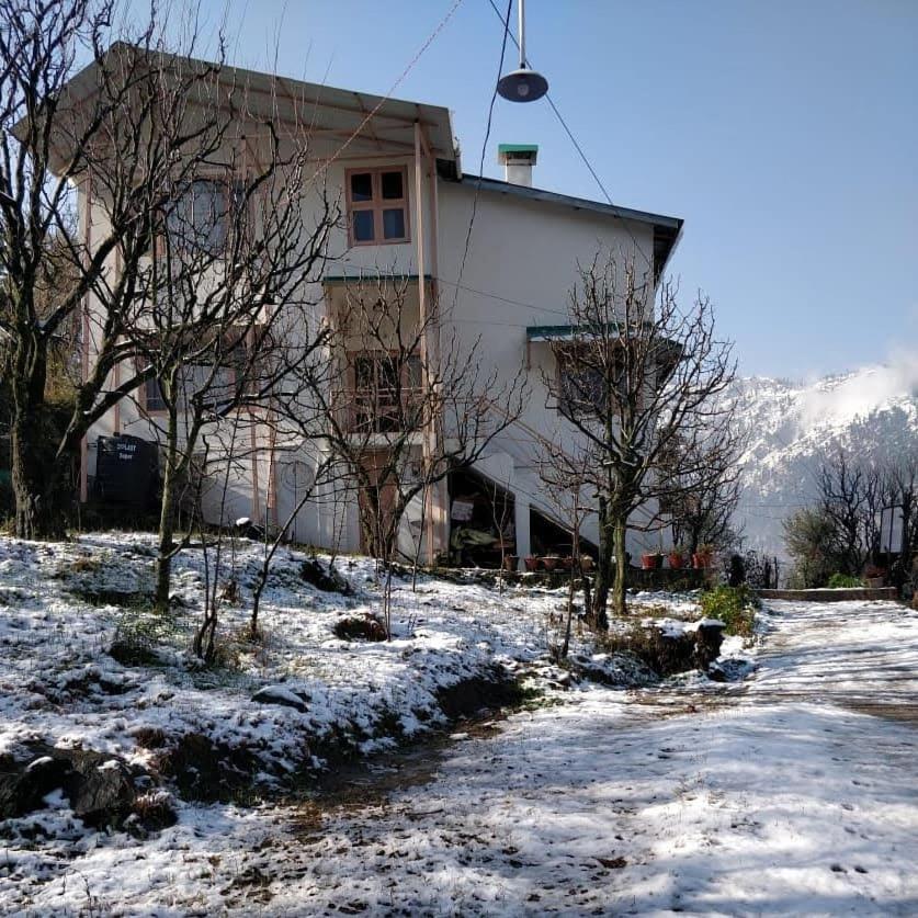 Photo 12