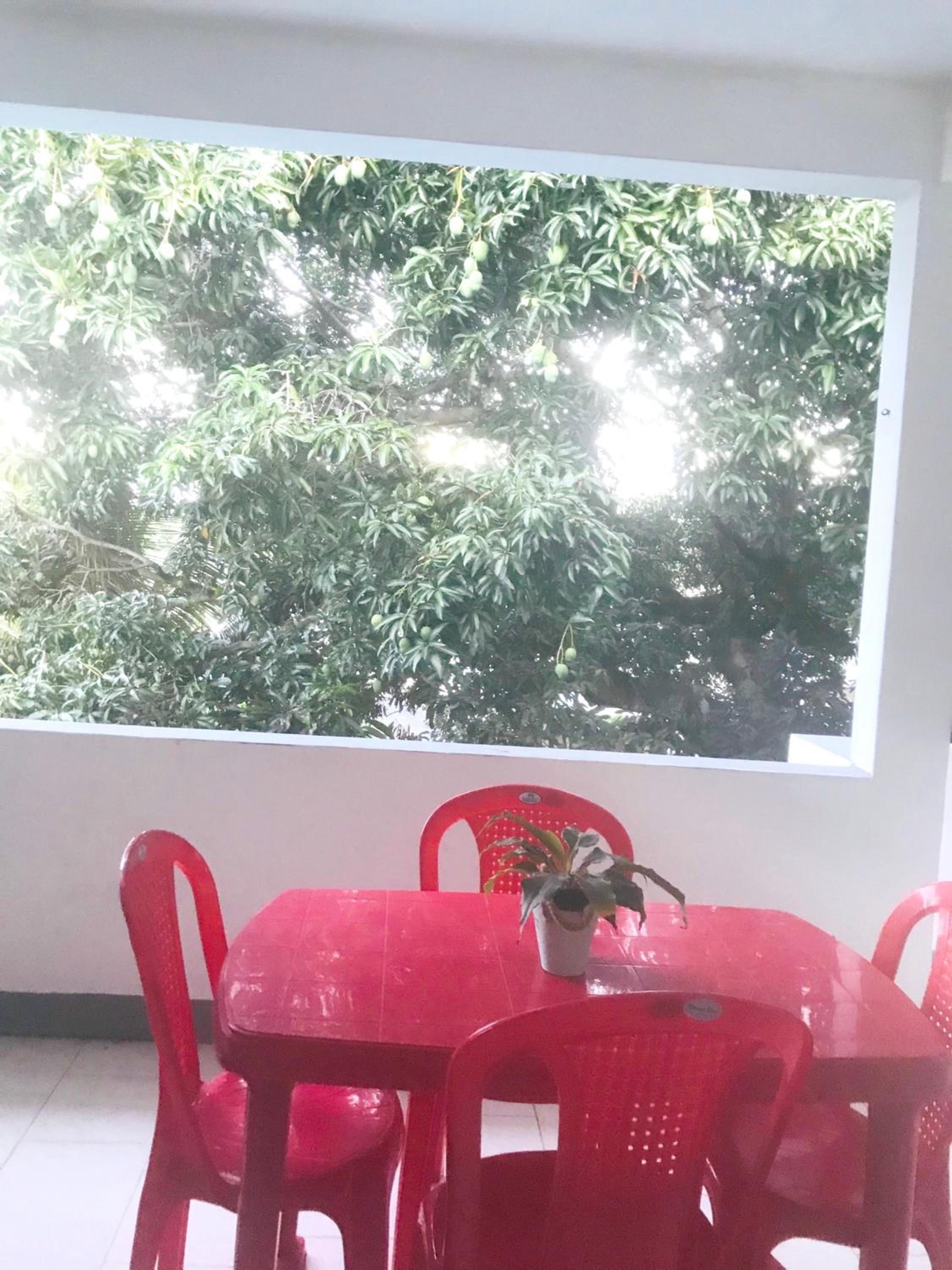 Comfortable House in Trou d'Eau Douce photo 1