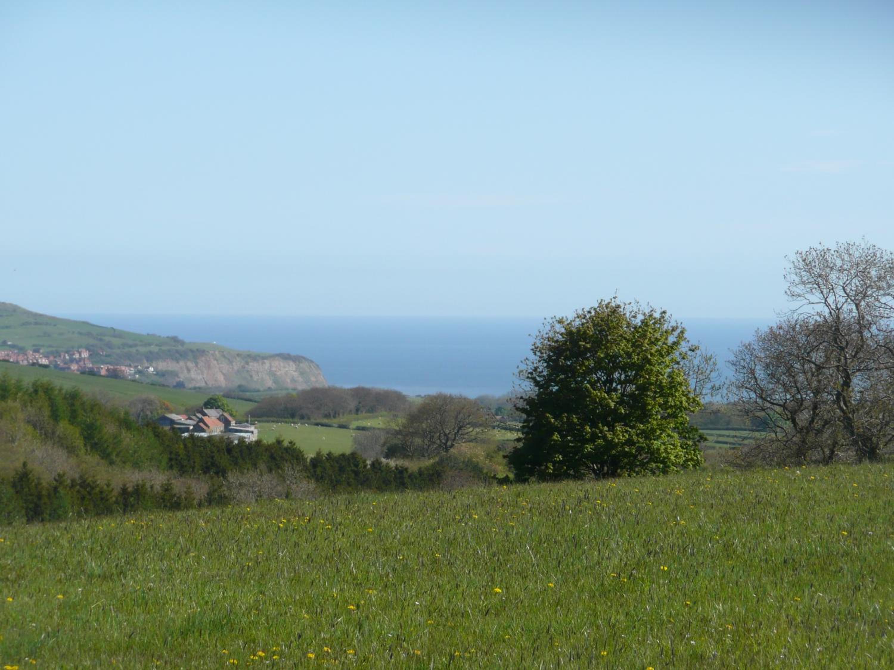 Meadowbeck Holiday Cottages view 4
