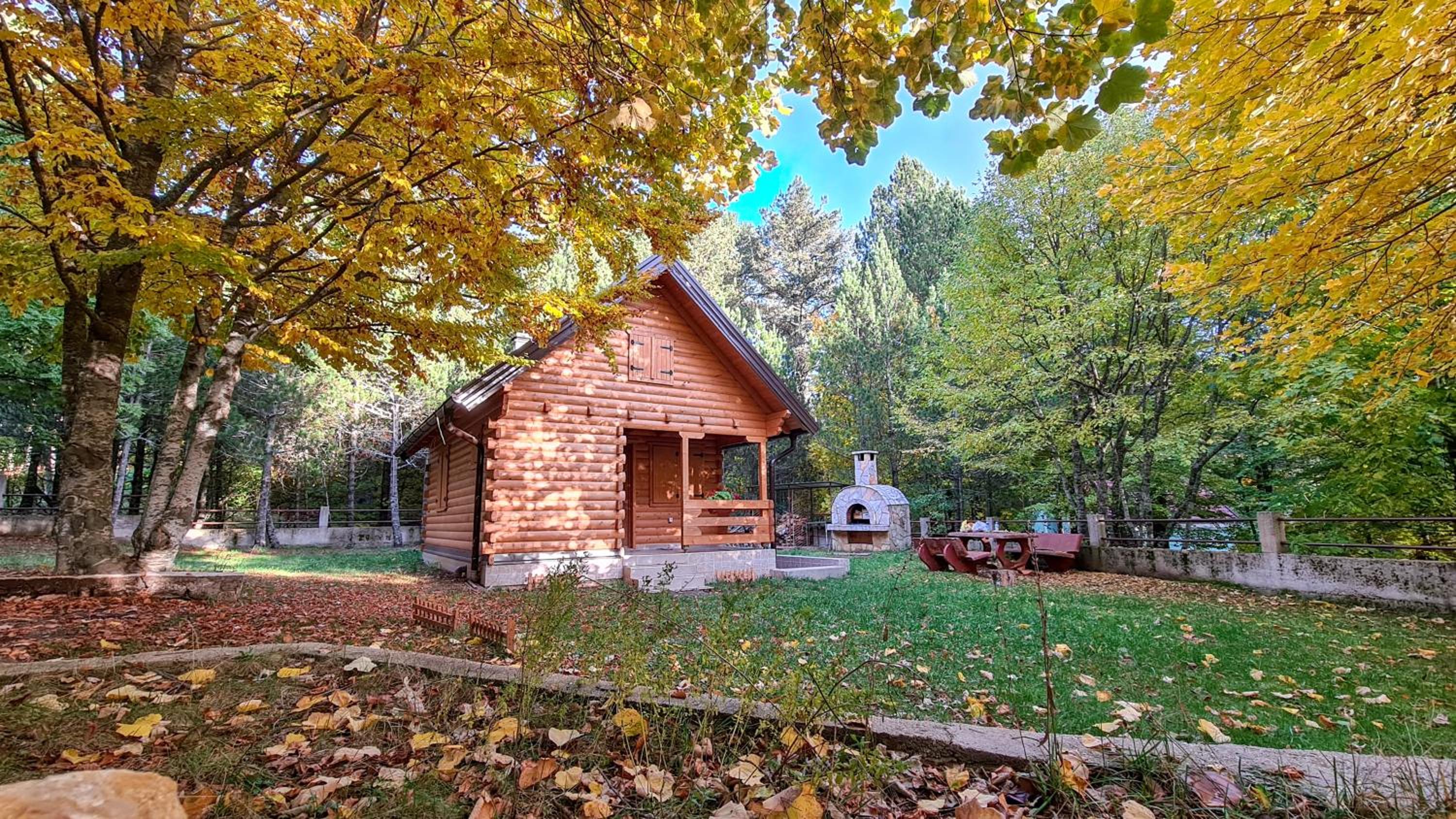 Cabin House Hidden Nest