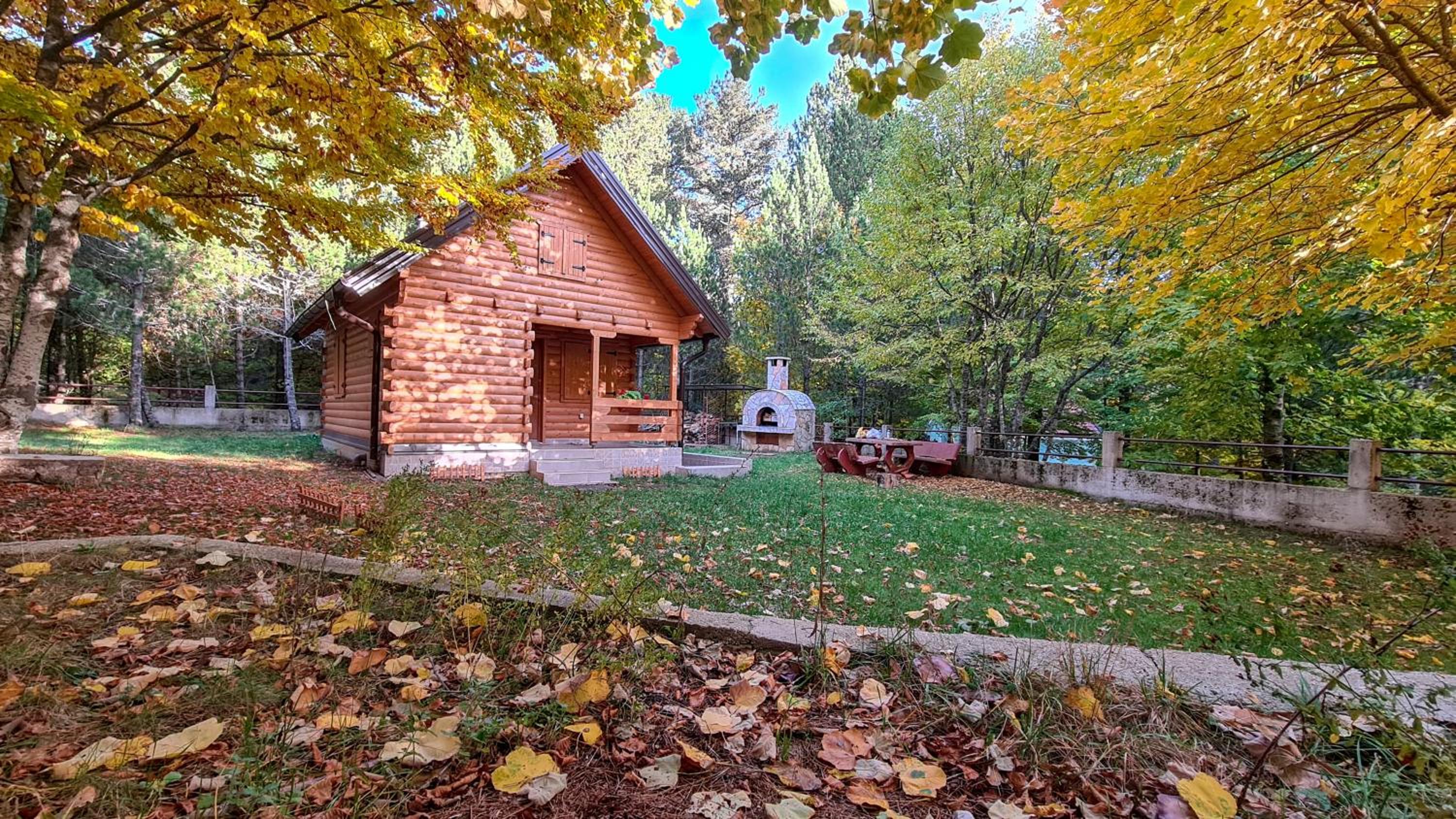 Cabin House Hidden Nest