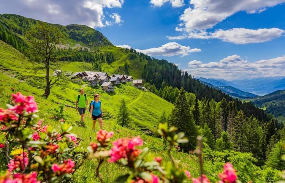 Luxury Chalet Mauthner Alm