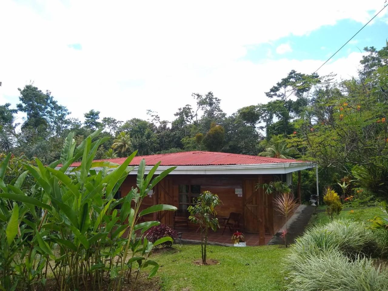 Photo 46
