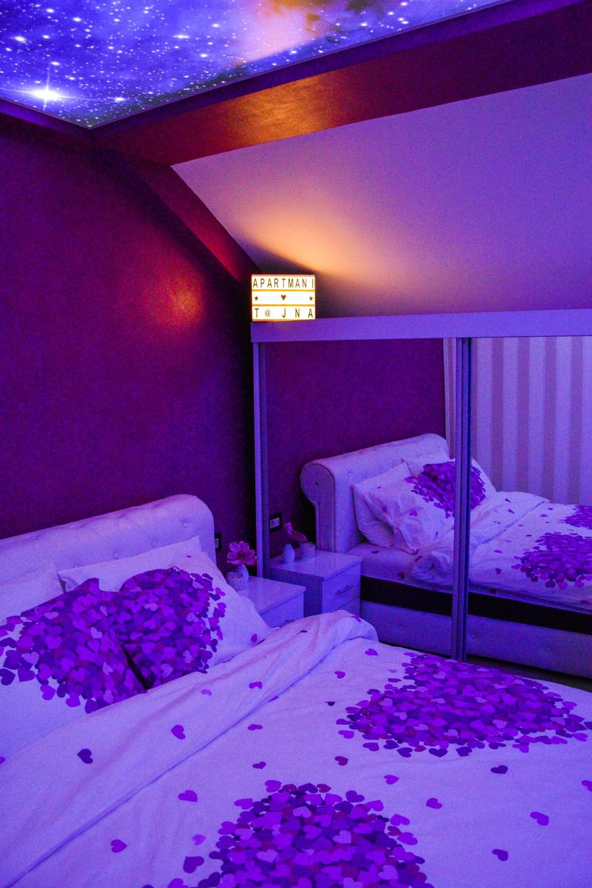 Apartmani Tajna view 4