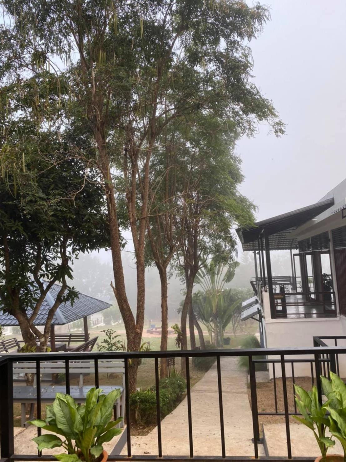 Diamond Village Pai