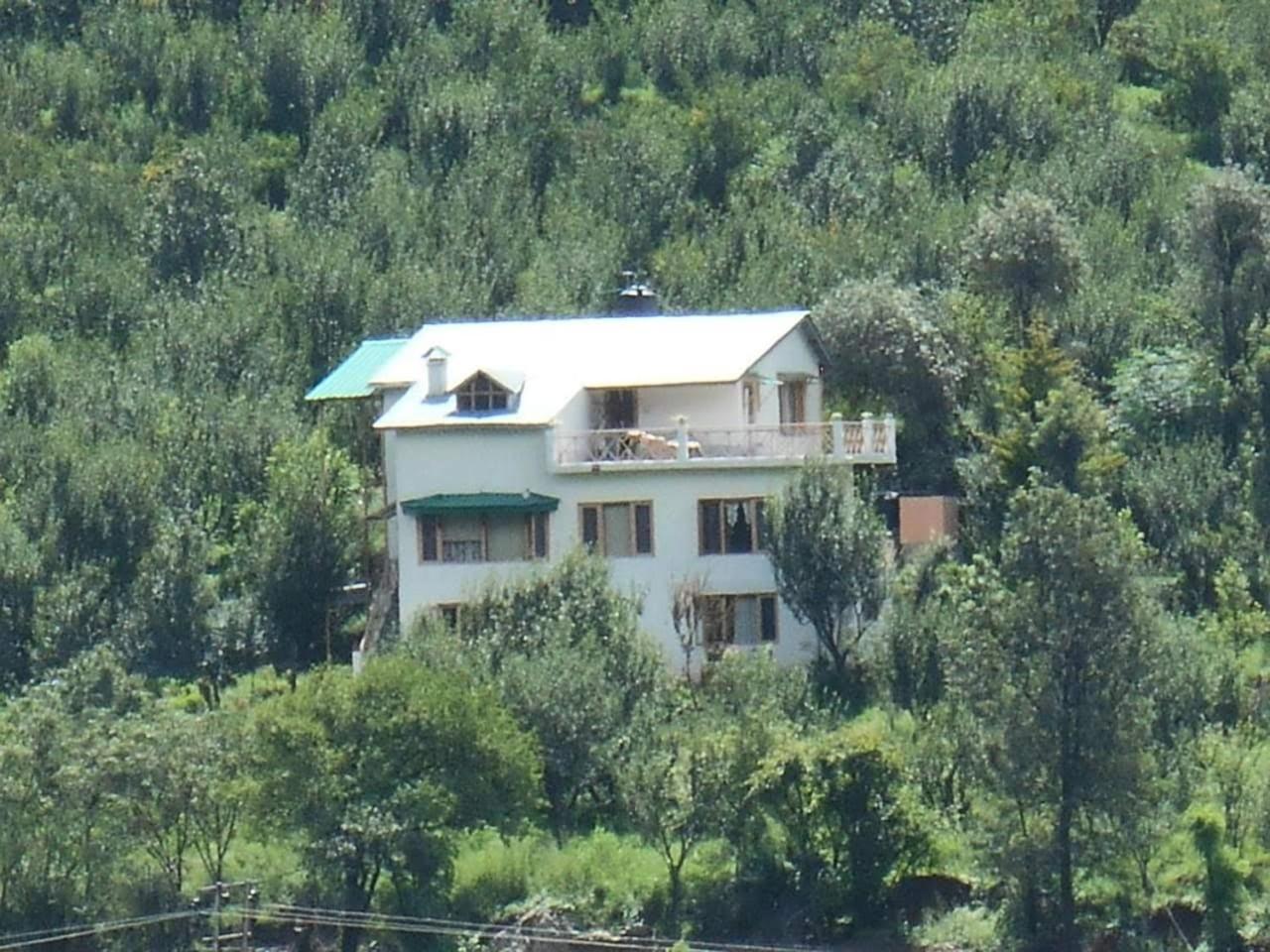 Photo 10