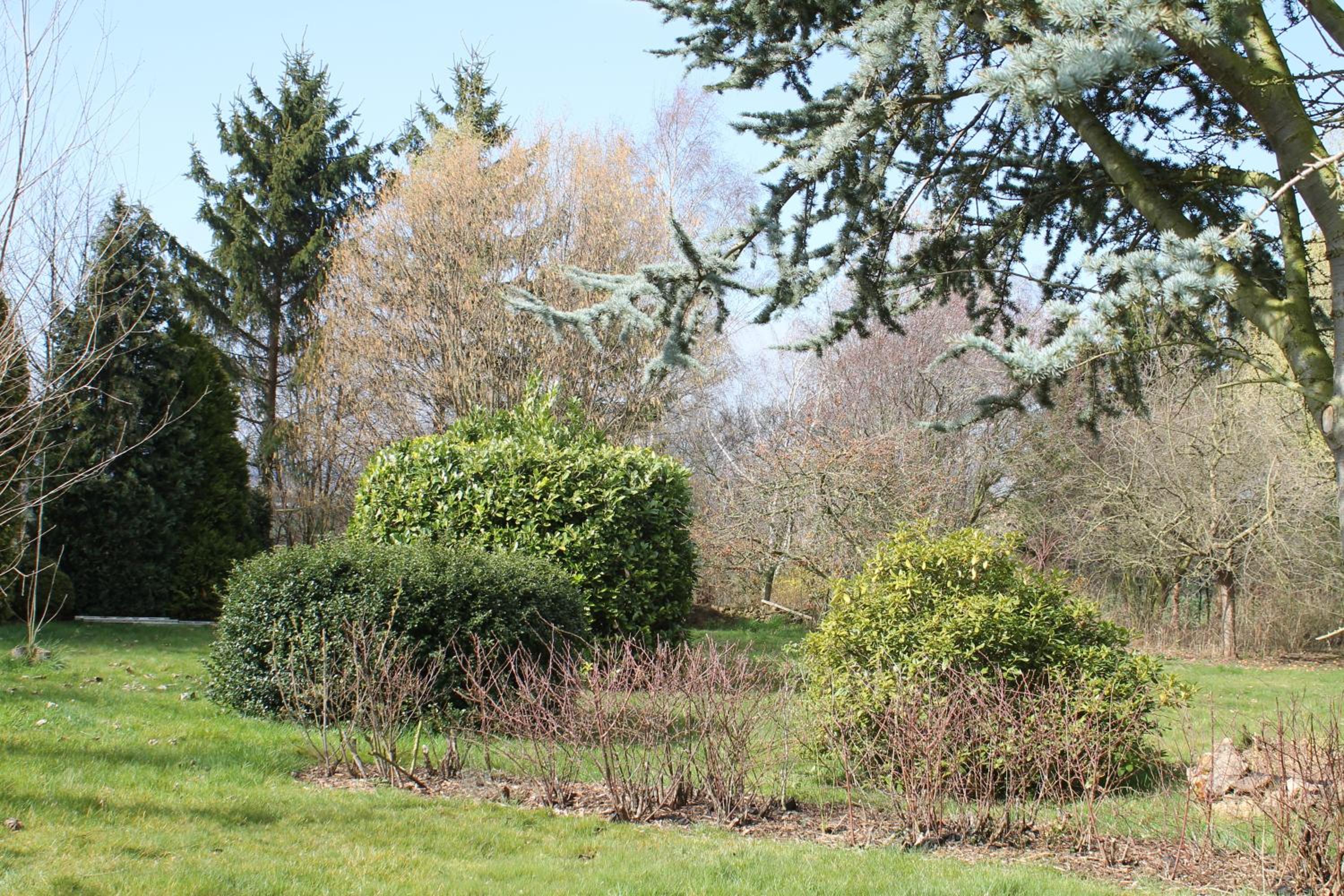 Photo 25