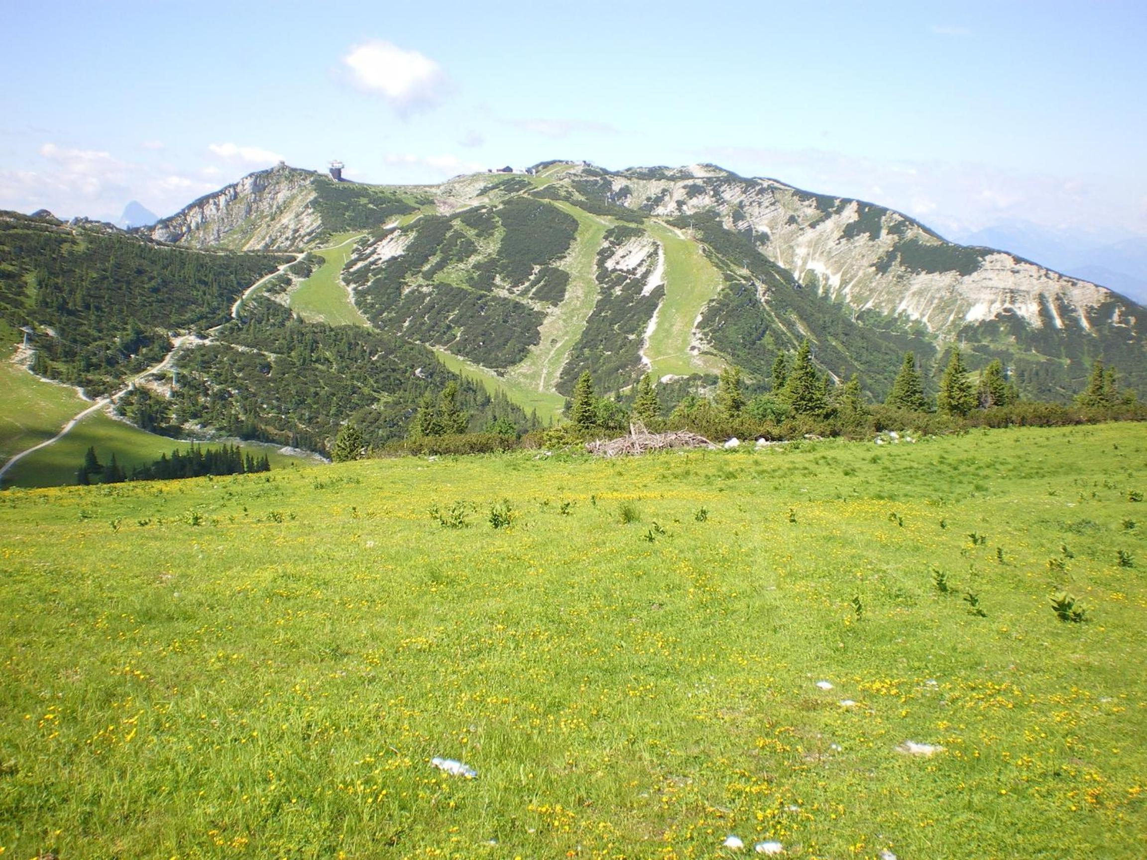 Photo 16