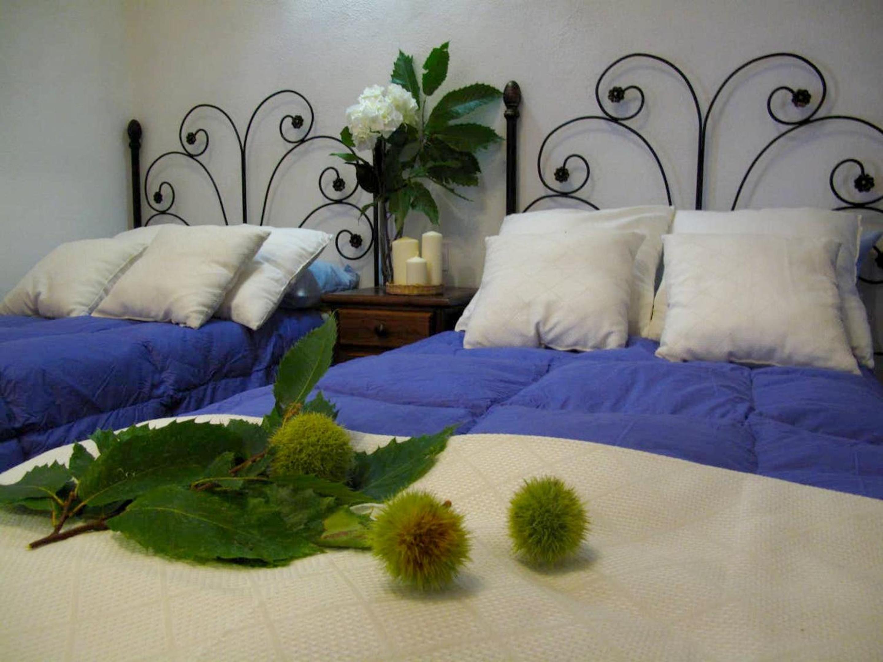 Peaceful villa in Monesterio with private pool