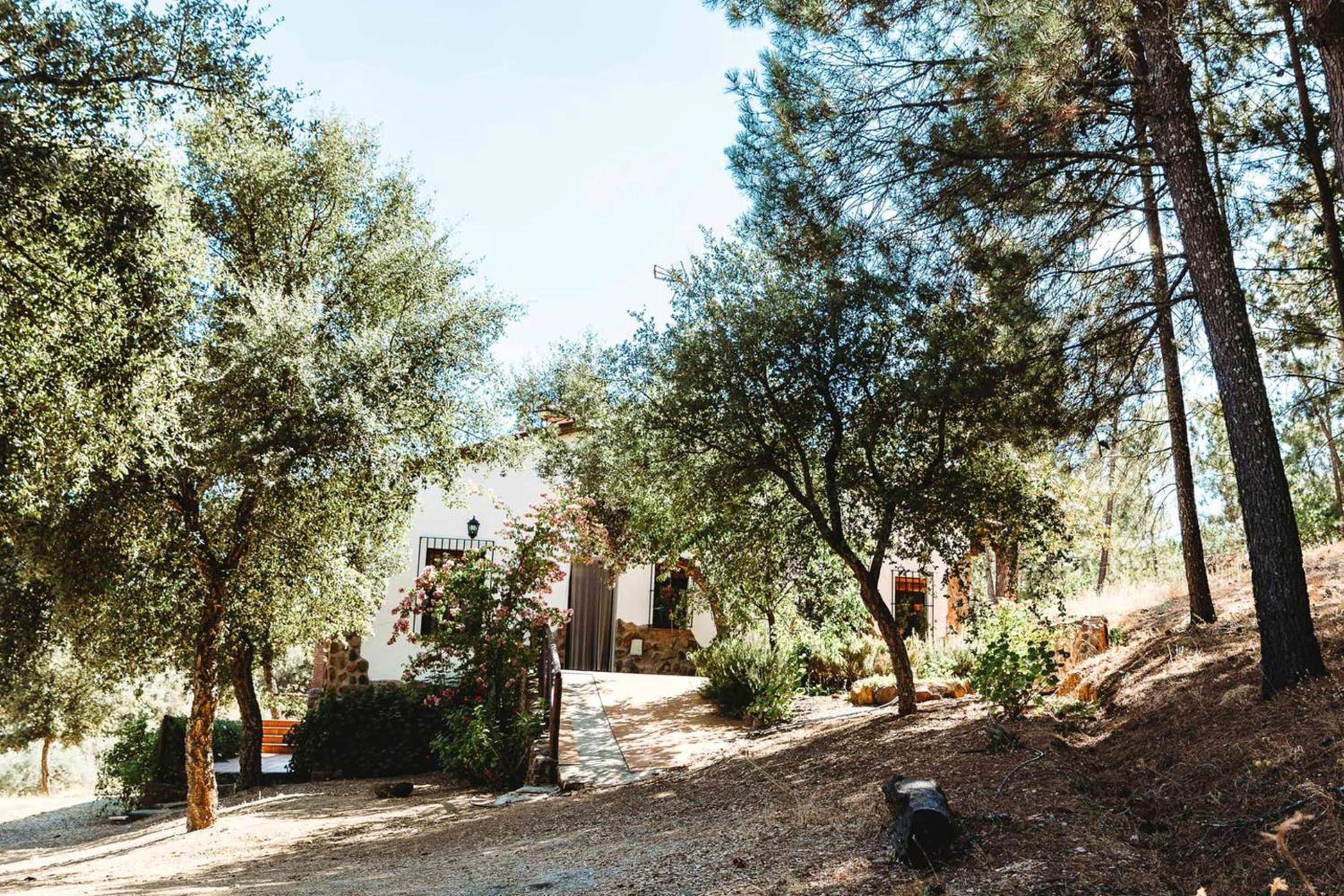 Peaceful villa in Monesterio with private pool