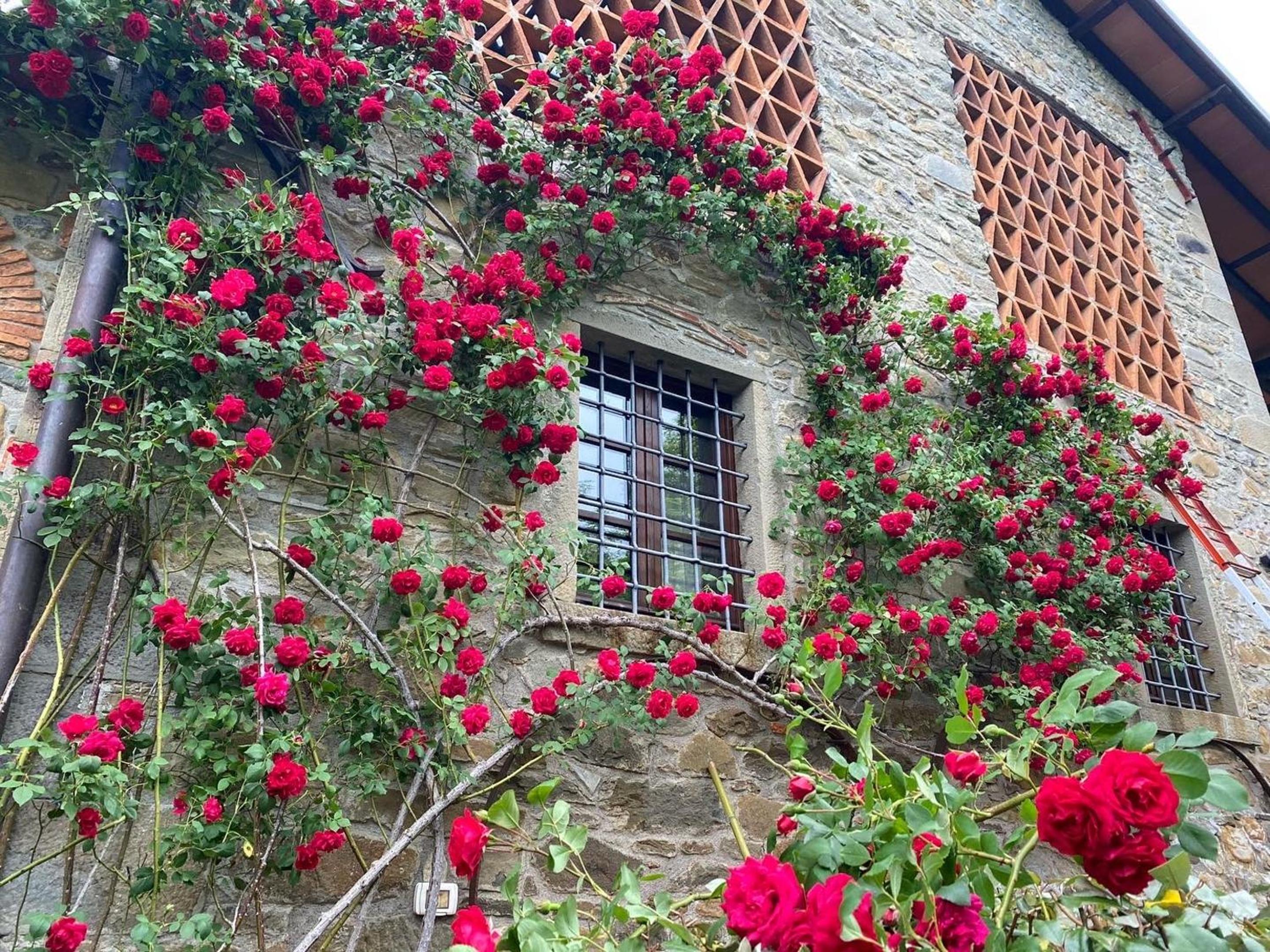 Comfortable house with pool in Castelnuovo di Garfagnana