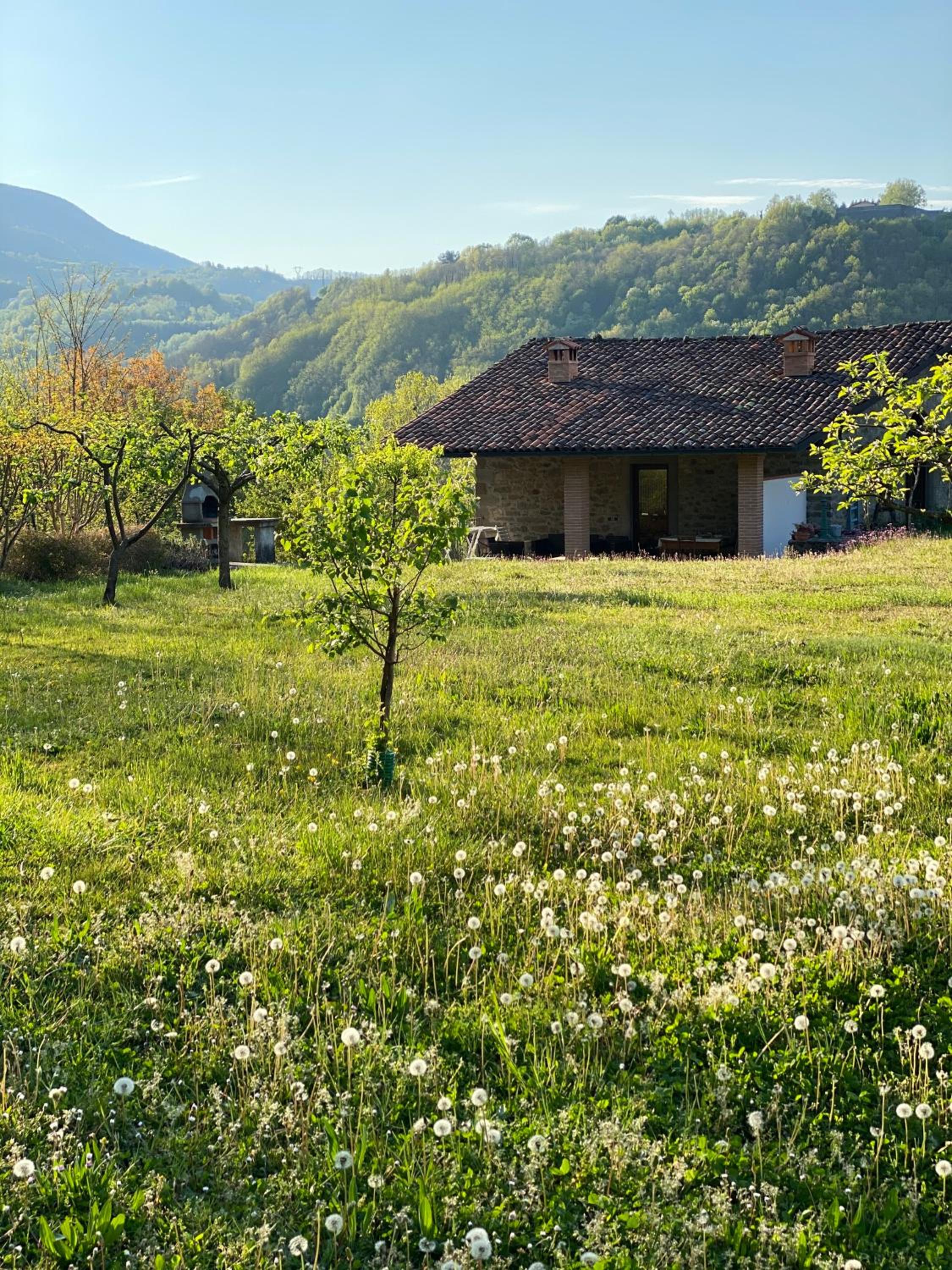 Comfortable house with pool in Castelnuovo di Garfagnana