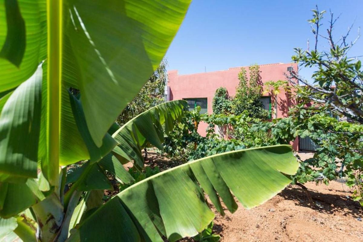 3 bedrooms house with sea view and furnished terrace at Arafo 4 km away from the beach