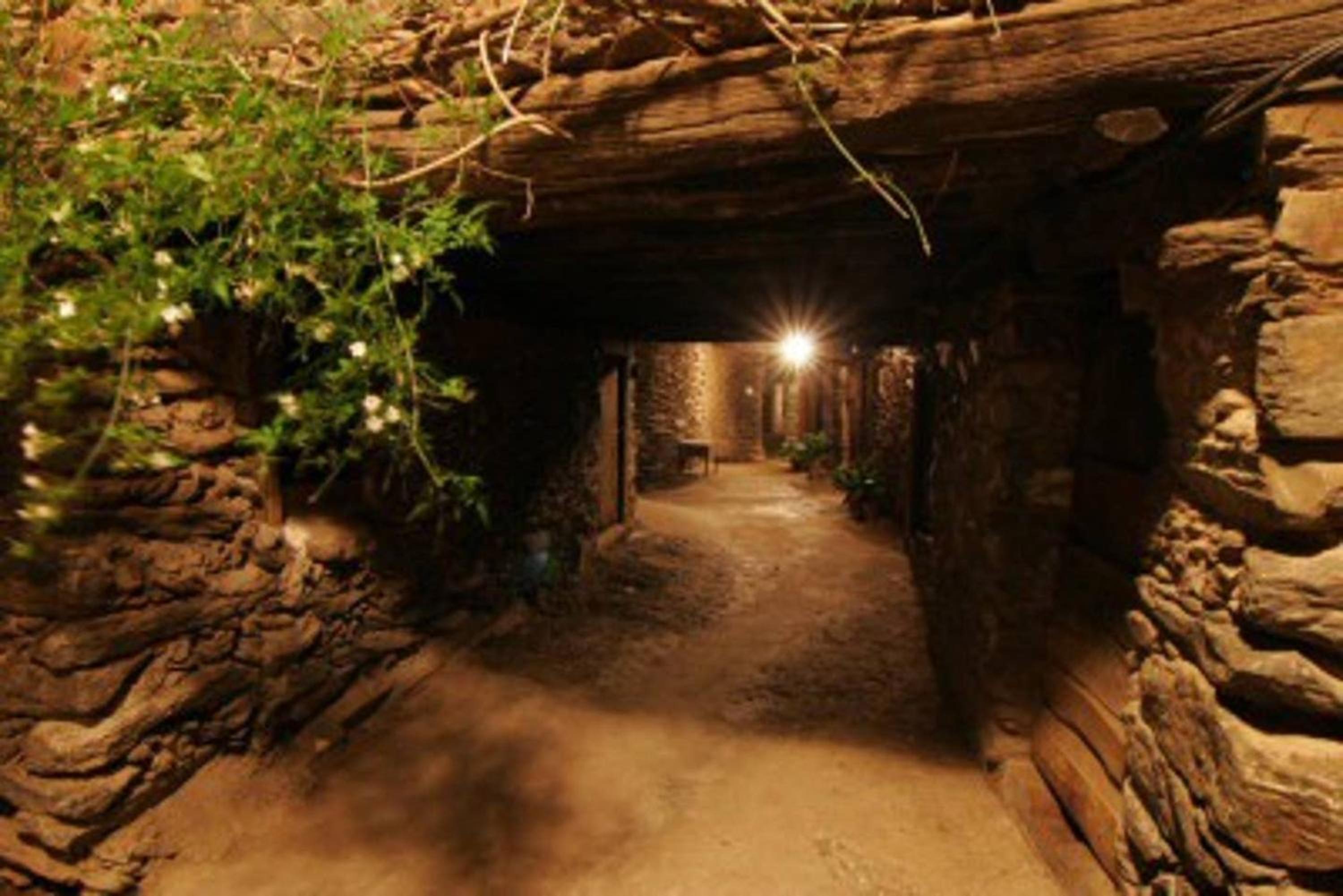 Charming House in Robledillo de Gata with Fireplace and Terrace