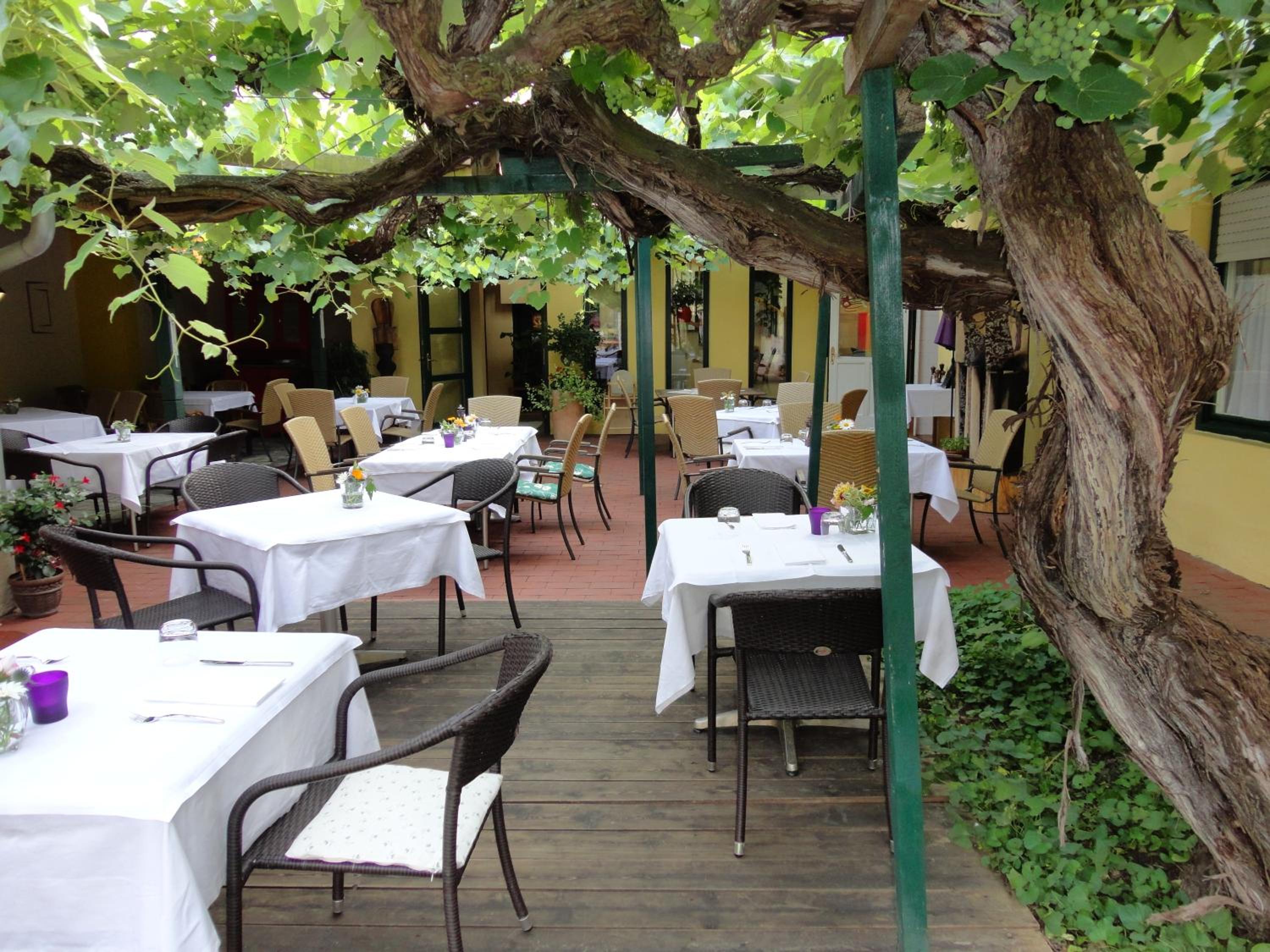 Bed & Breakfast Zum Alten Weinstock