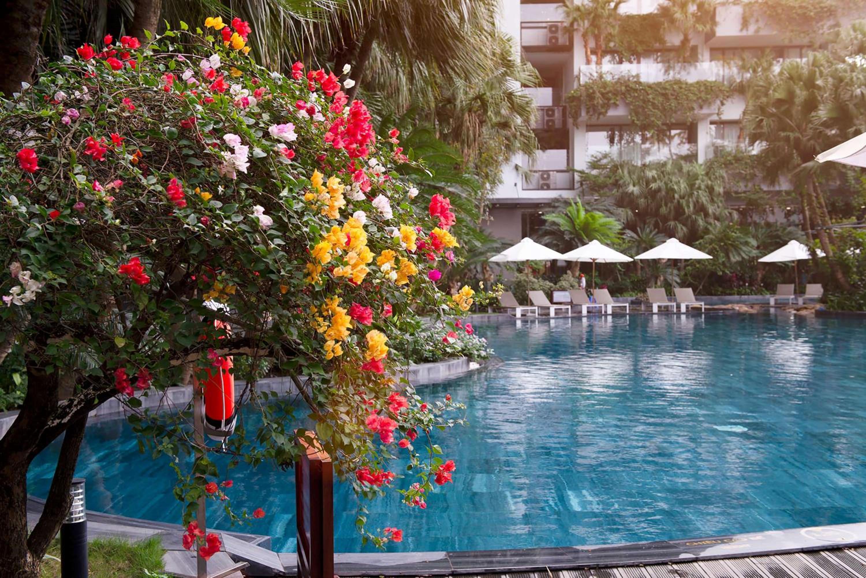 Flamingo Dai Lai Resort Managed by Flamingo Hotels & Resorts