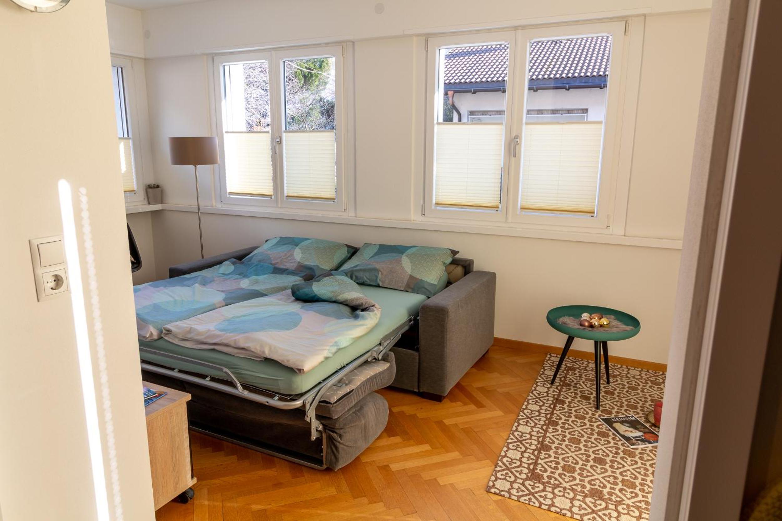 Apartment Haus Lang view 3